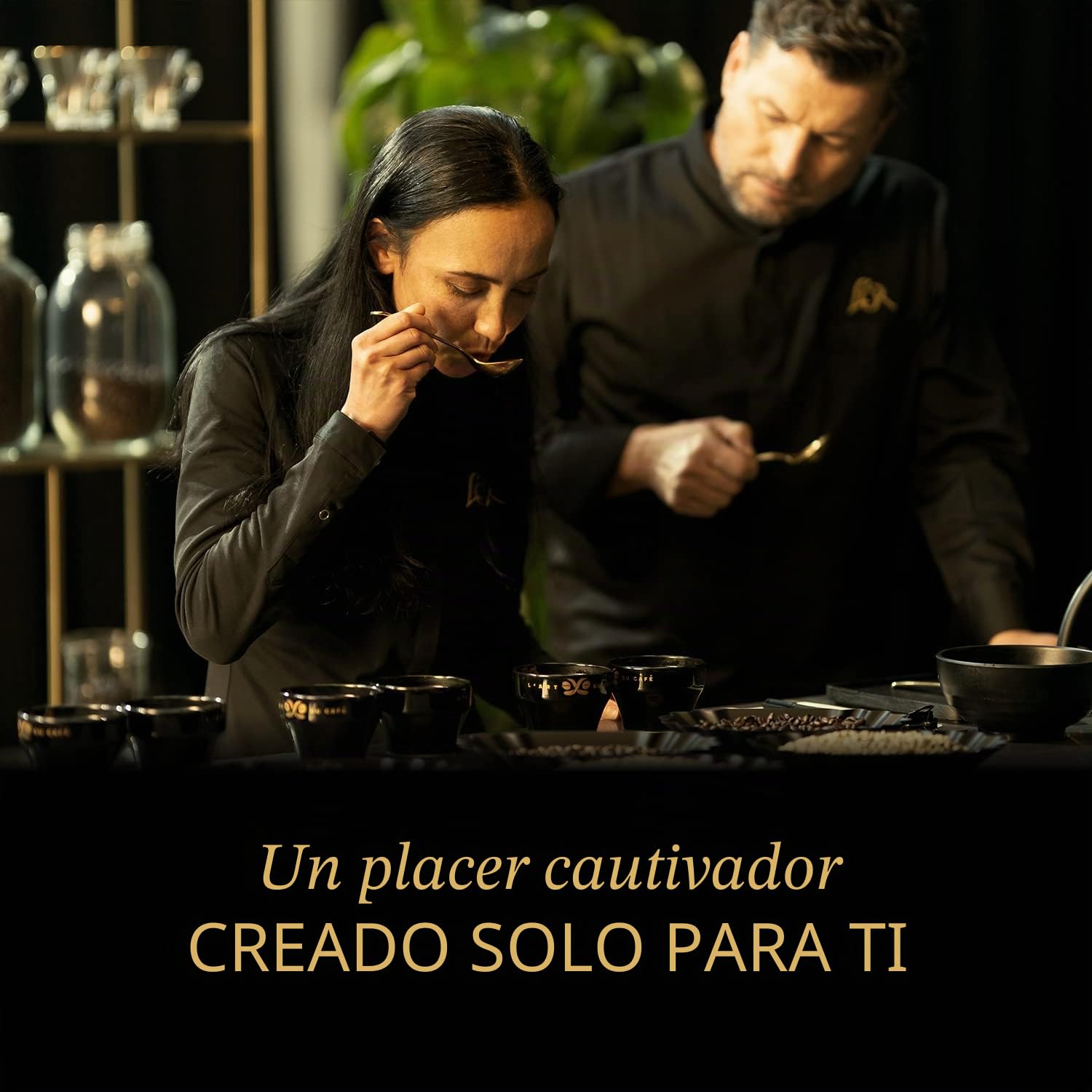 L'OR Origins India Intensity 10 cápsulas de café compatibles con Nespresso (paquete de 10, total de 100 cápsulas de café)
