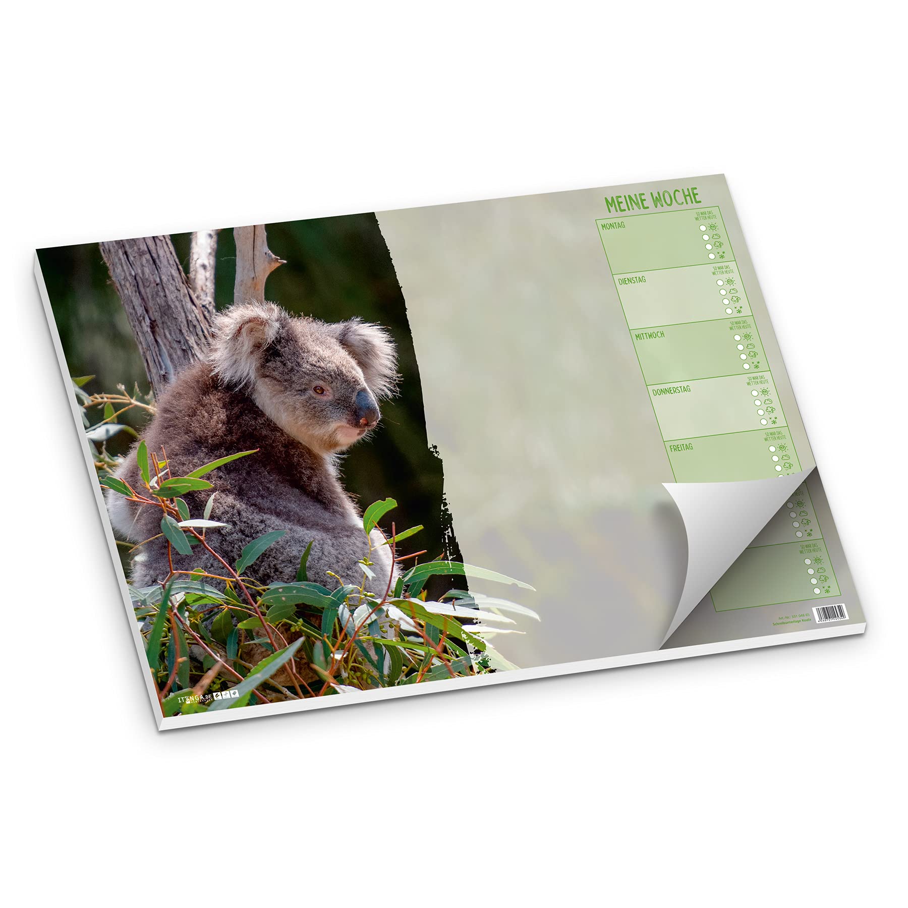 itenga Schreibtischunterlage Koala Motiv – Papier Schreibunterlage für Kinder, 50 Blatt DIN A3