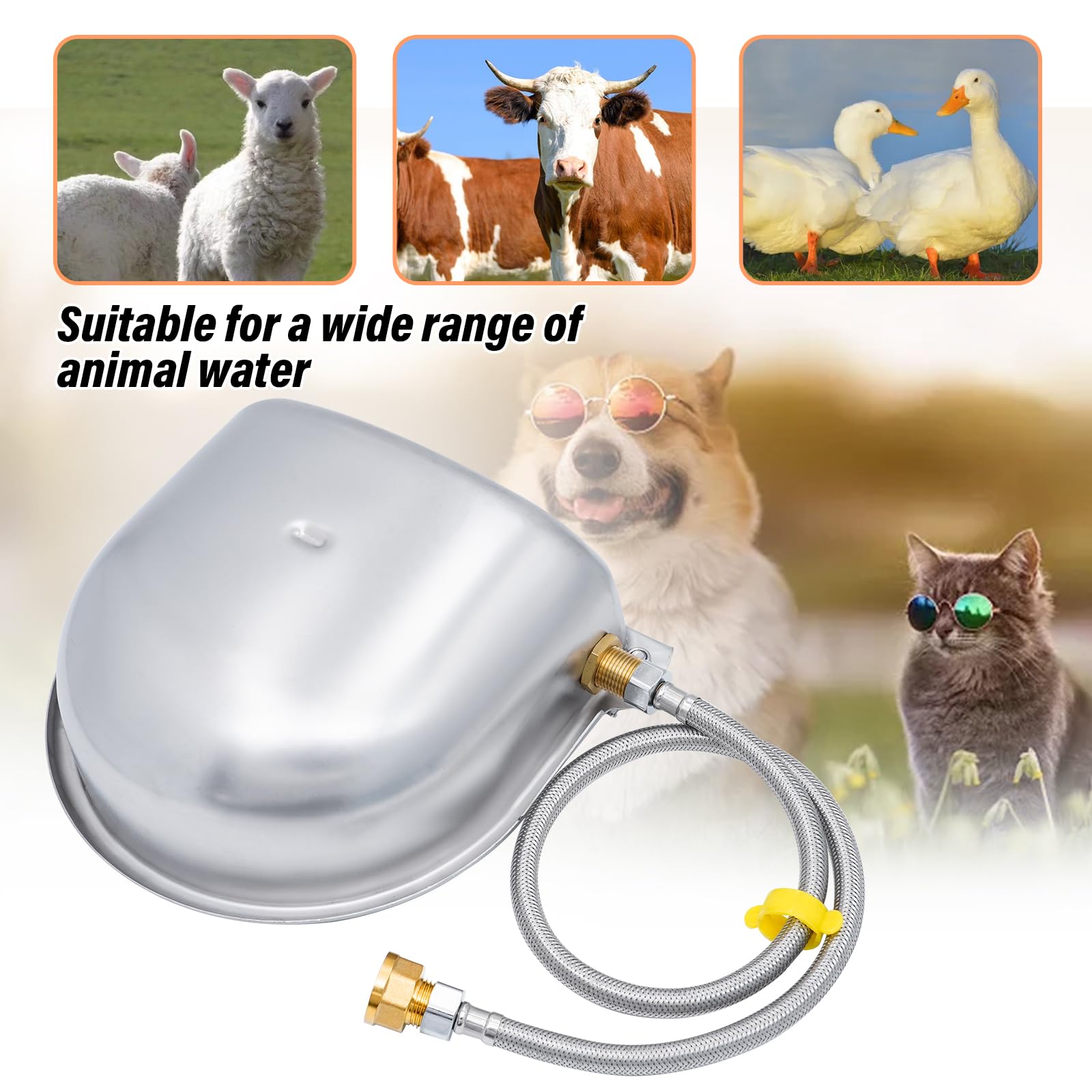 Abbeveratoio automatico in acciaio inox fuso con valvola galleggiante da 1/2 pollici in ottone per cavalli, bovini, cani e galline