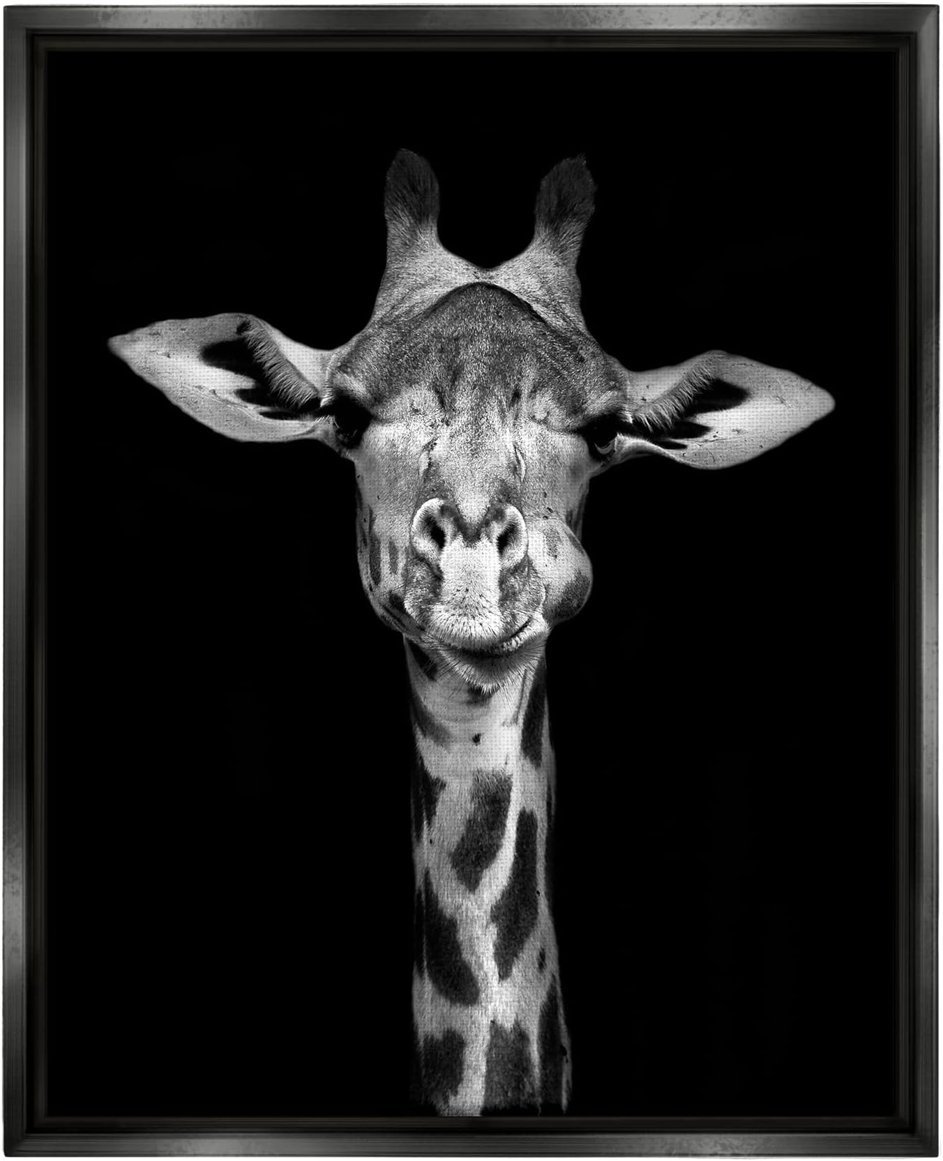 Stupell Industries Greyscale Zebra Stripes Detailed Photography Portrait , Design by Incado