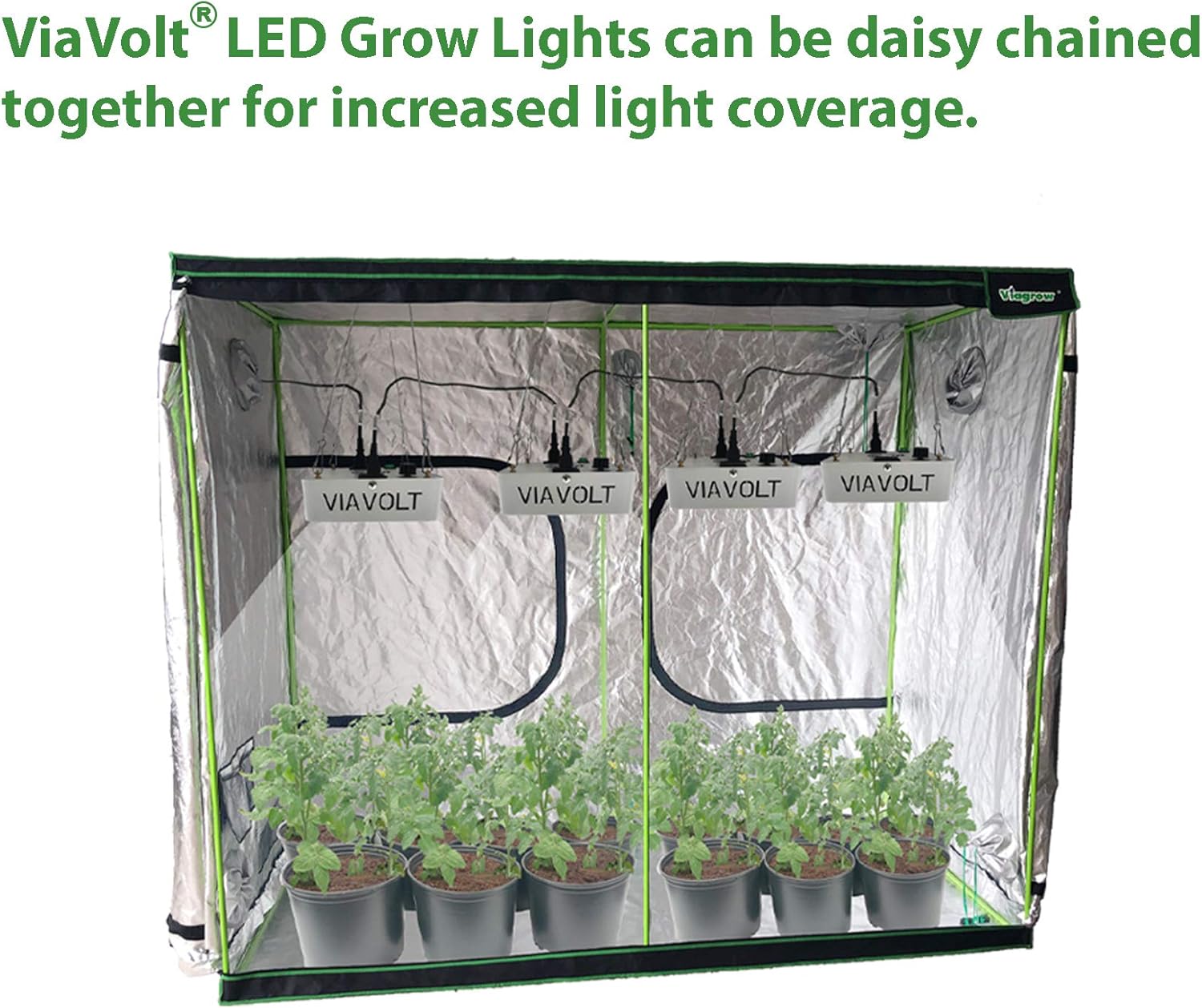 Grow Light, 6500K Full Spectrum, Cree COB LED, 65 Watts,12,000 Lumens