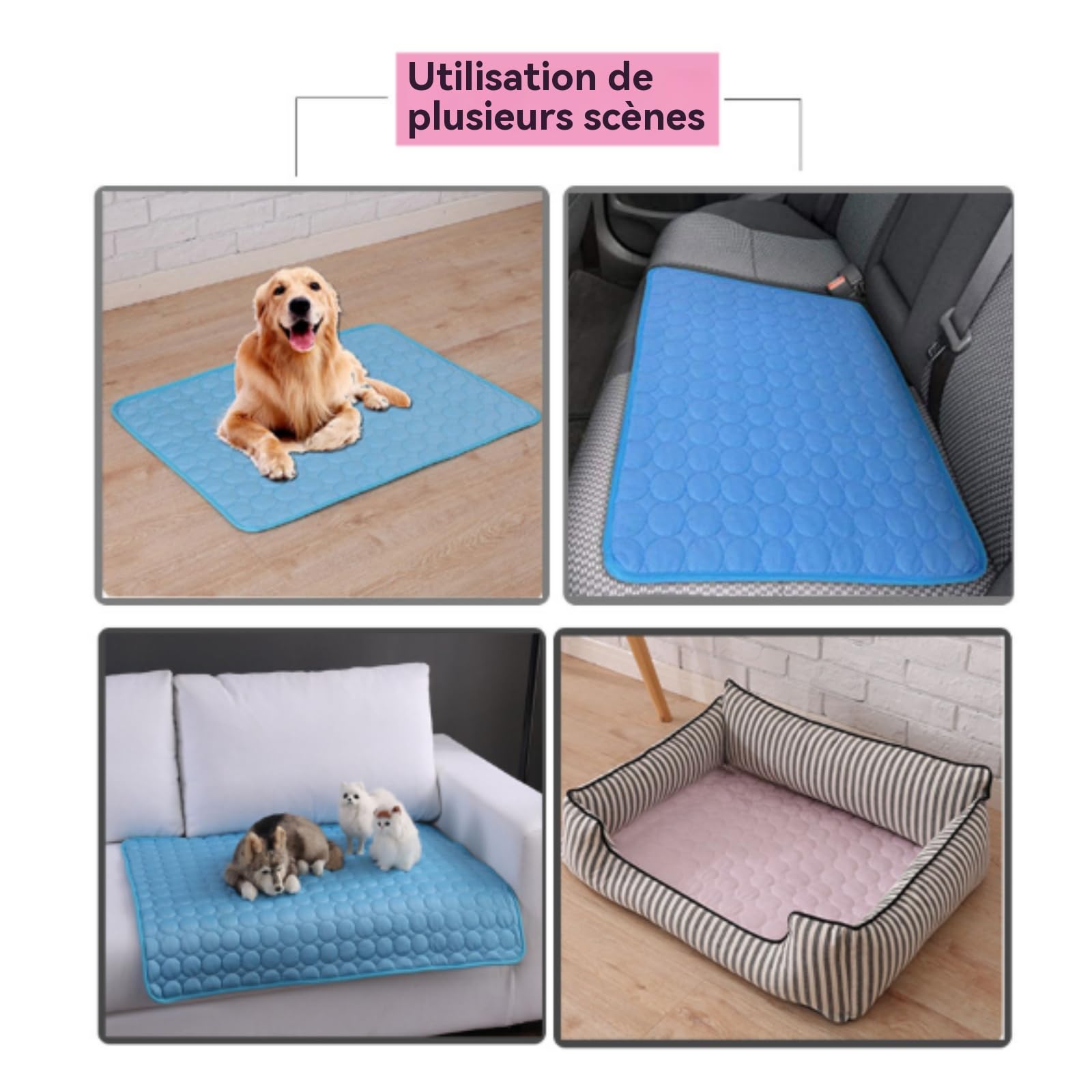 Générique Tapis Rafraichissant pour Chiens Et Chats, Fresh Pad pour Chien, Chat Coussin Chien Anti Chaleur, Matelas Réfrigérant Animaux, Portable, Lavable, Anti-Morsures (Bleu, XXL)
