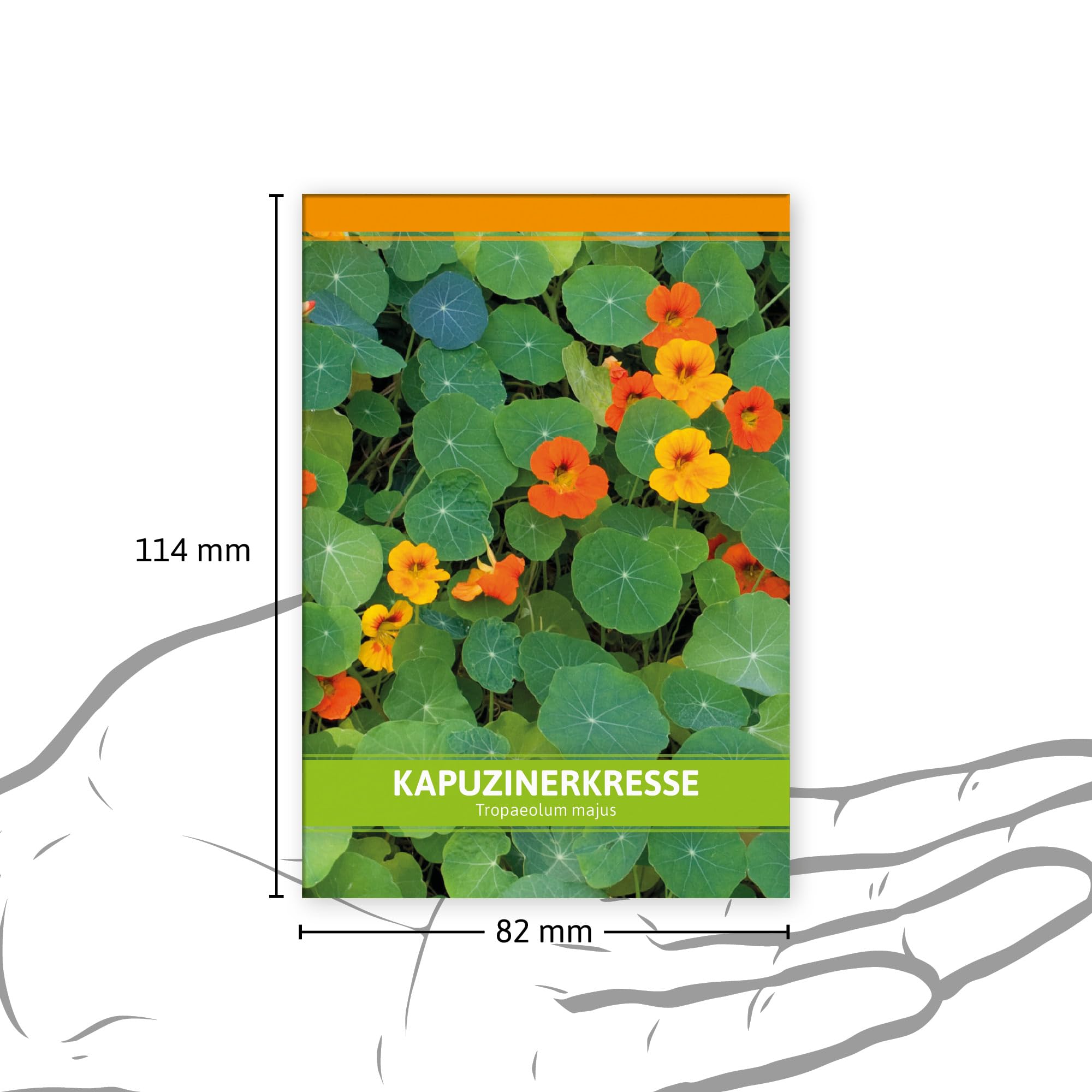 FLORTUS W5251-100x Kapuzinerkresse für Werbezwecke (100 Tütchen) (Kapuzinerkressesamen)