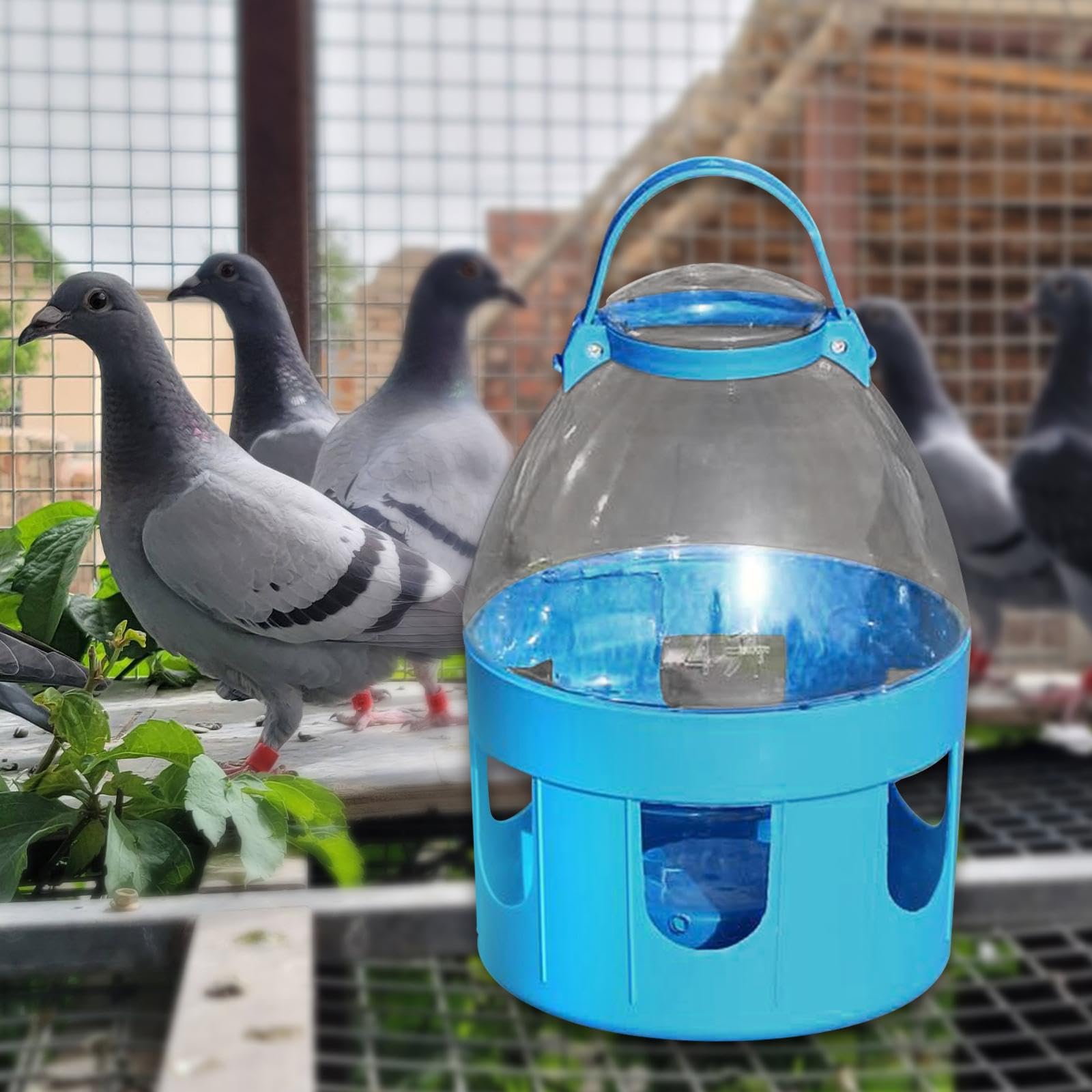 Tauben Trinkflasche, Geflügeltränke mit Tragegriff, Taubentränke Taubentränken, Bird Water Feeder Cage, Stabiler Wassertrinker für Tauben Pfauentauben, Nymphensittiche Wellensittich, 4l