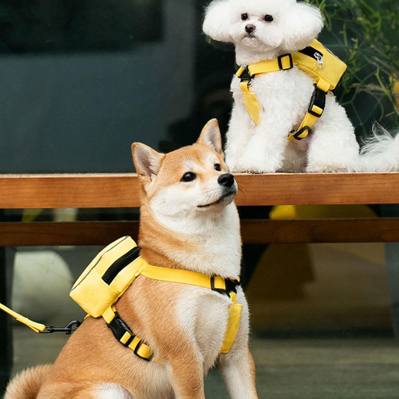 Pettorina per cani con zaino – Twill – Zainetto per cani con guinzaglio – Grazioso zaino per gatti, sella colorata per cani, accessorio da viaggio per amici di famiglia o