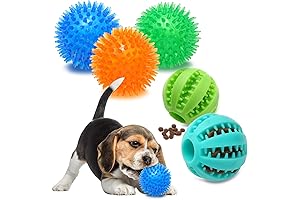 Stimulating Squeaky Puppy Balls for Painless Teething