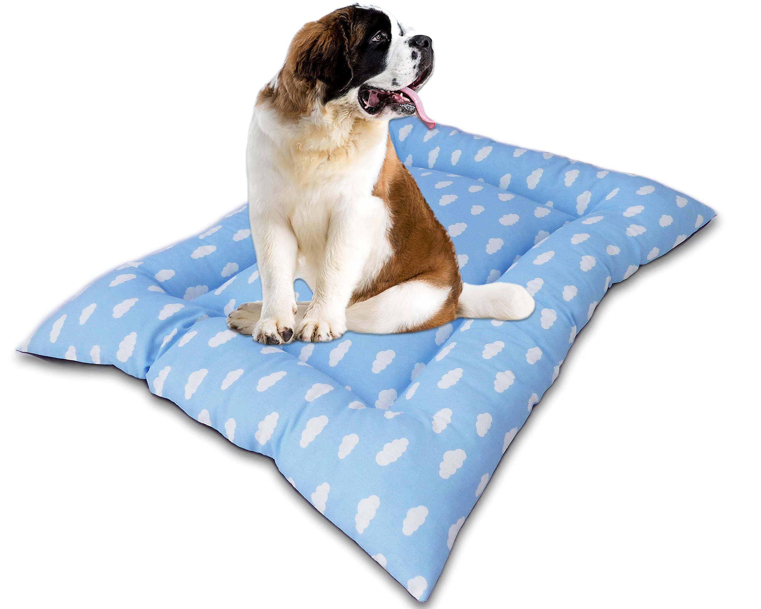 ZK ZuresKa Cama Perro Grande XL - Cojín, Alfombra, Colchón o Colchoneta de Mascota para Suelo, Lavable. Tamaño XL, 112x85 cm (X-Large, Azul_Nubes)