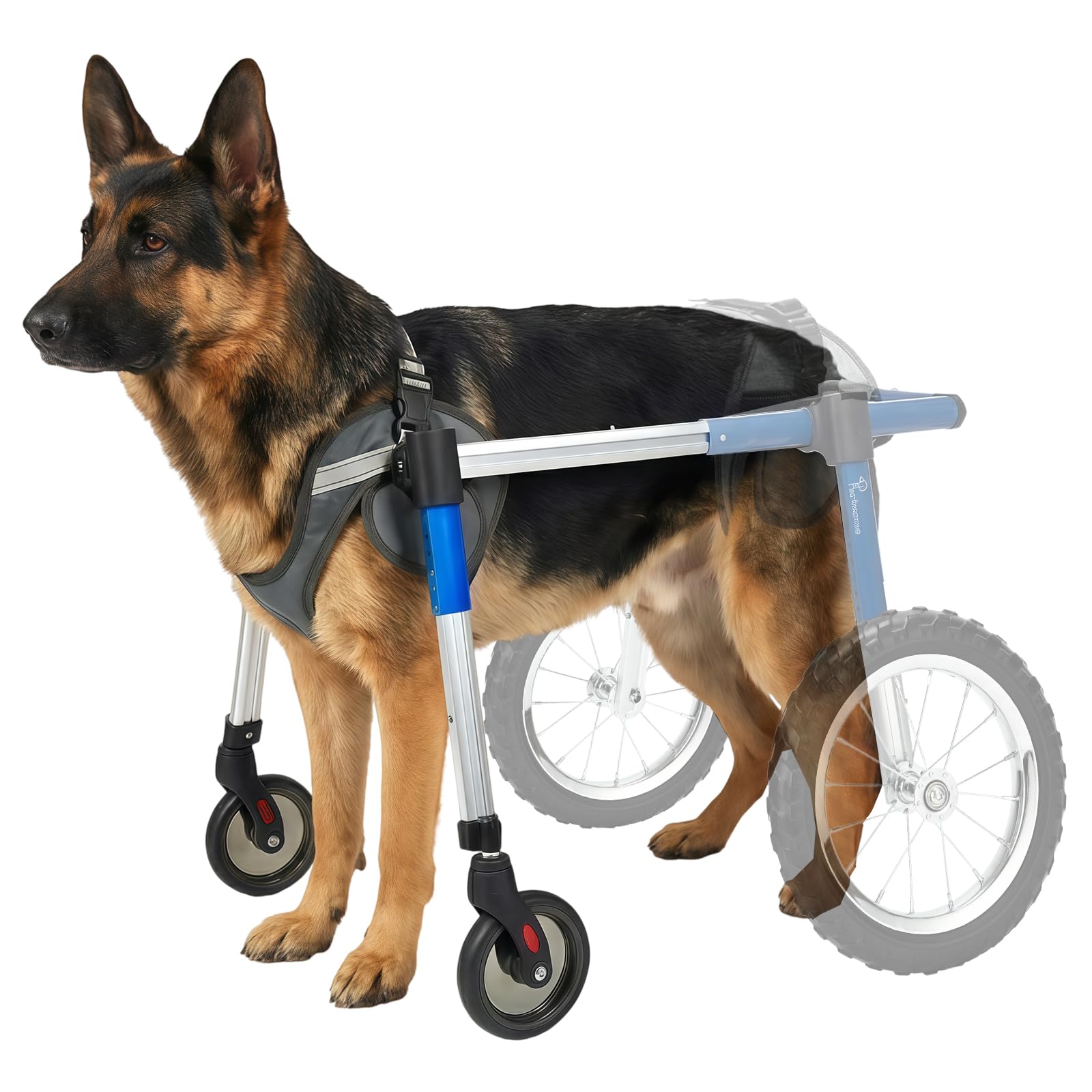 Photo 1 of Dog Wheelchair Front Wheel Kit for Upgrading Hind Leg Wheelchair to Four Wheel Chair (XXL)