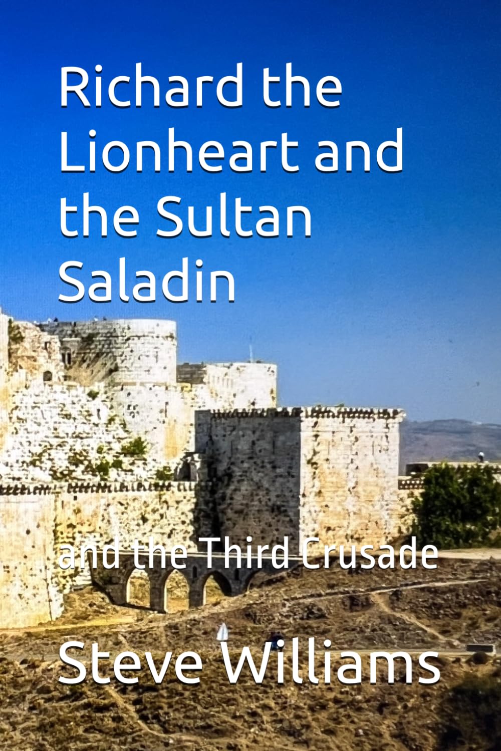 Richard the Lionheart and the Sultan Saladin: and the Third Crusade