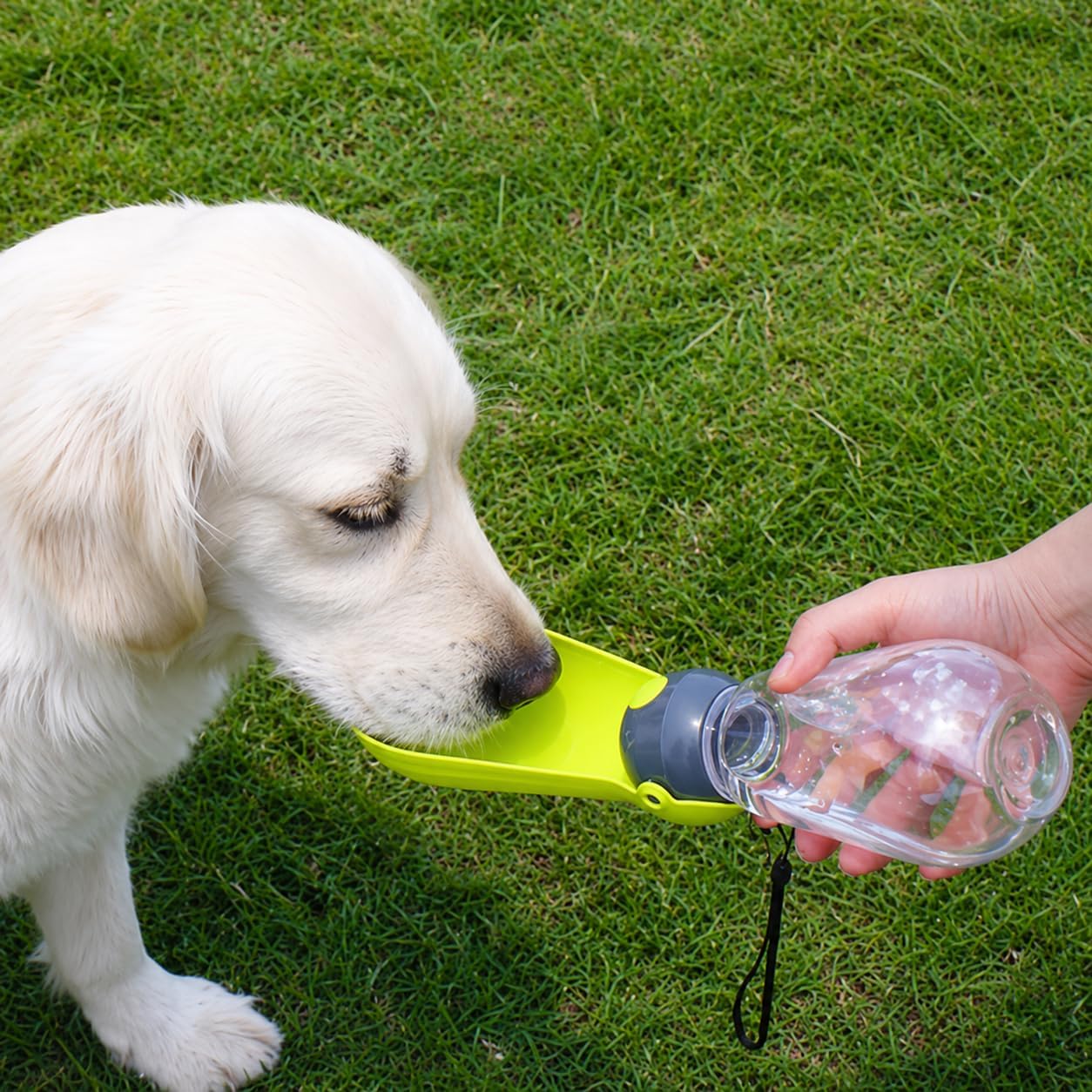 H&H Pets Portable Dog Water Bottle for Walking – Foldable Travel Pet Water Dispenser & Leak-Proof Drinking Bowl for Puppies, Medium, Large Dogs, and Small Animals, 13.5 oz (Blue)