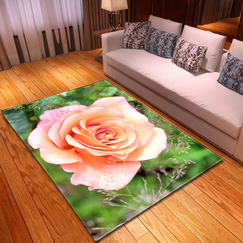 XXXKK Soft Shaggy Rug,Creative Retro 3D Printing Light Pink Rose Soft Non-Slip Area Carpet, Living Room Modern Bedroom Bathroom Carpet, Soft Indoor And Outdoor Home Decorations,170X230Cm
