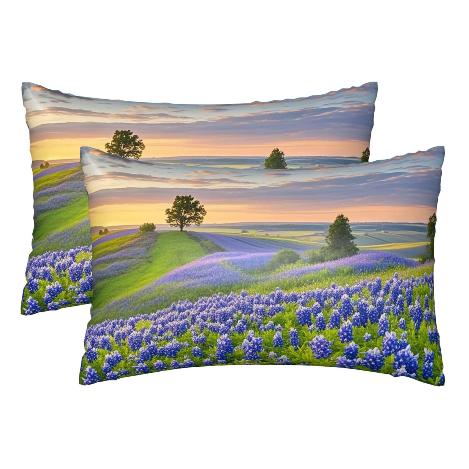 Silk Pillowcases Set of 2 Pillow Shams Breathable Soft Pillow Covers with Envelope Closure Texas Bluebonnets Scenery Pillowcases Standard Size 20x30 Inches Washed Pillow Cases for Hair and Skin