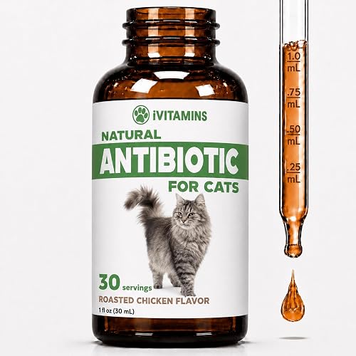 Cat Antibiotic for Infections, UTIs, Respiratory Moments, Cold, & Allergies