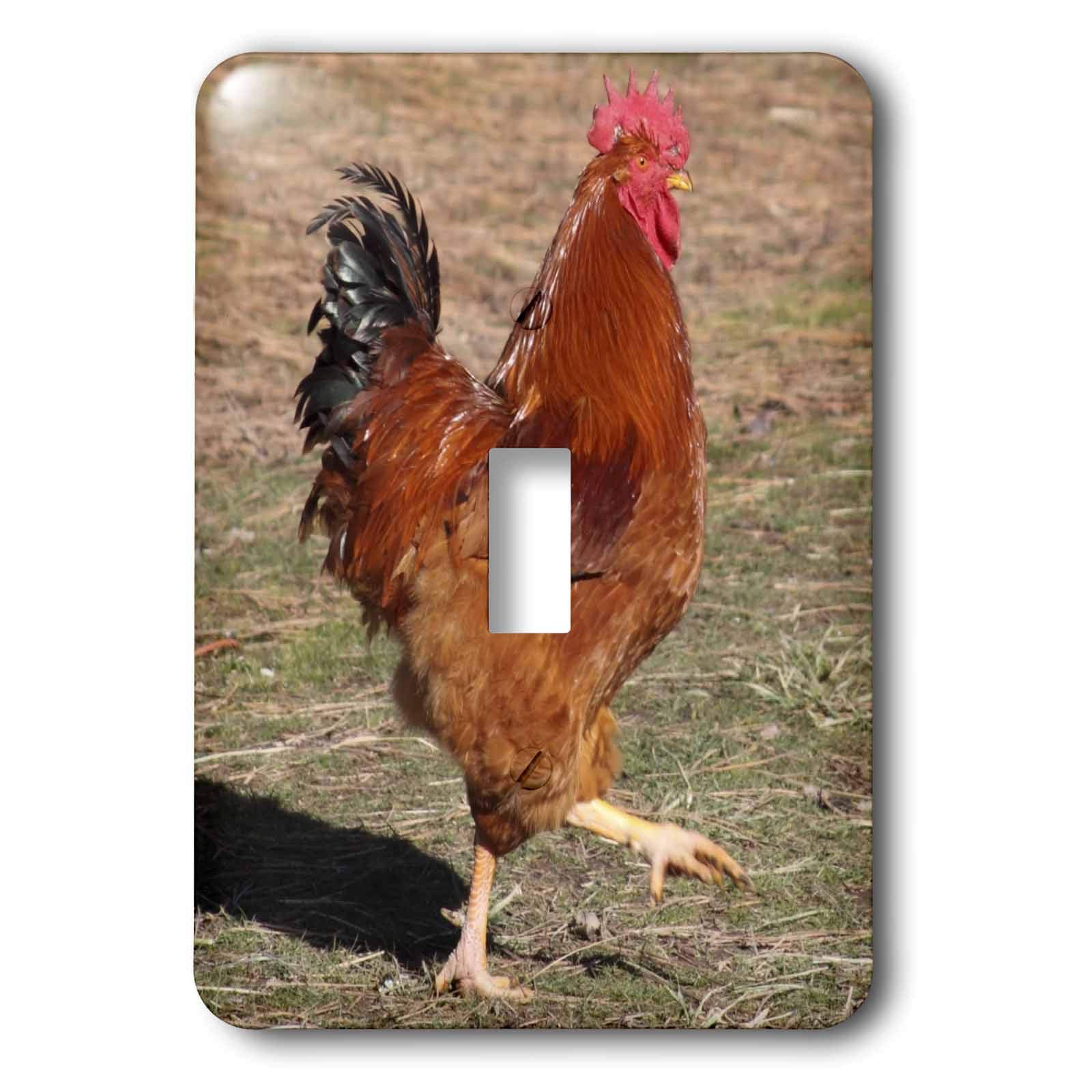 Interrupteur à bascule coq rouge pour illuminer une cuisine rustique au style maison de campagne
