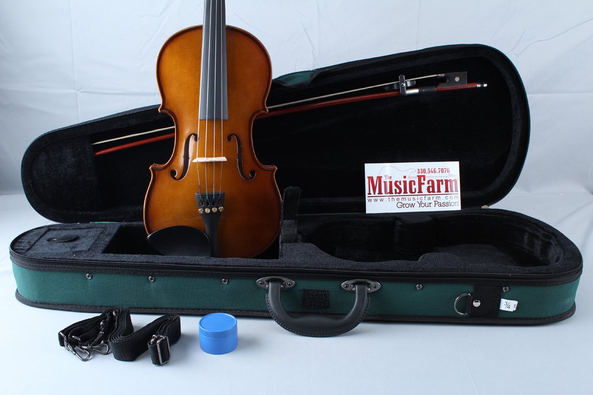 2000 Series Violin Outfits VN2034 Electric Violin, Amber