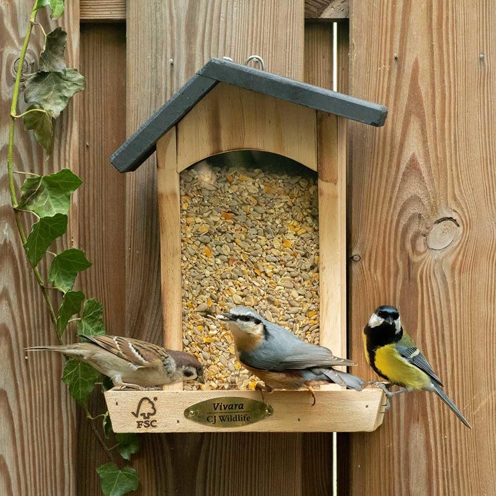 CJ Wildlife Vogelfutter Wildvögel ganzjährig 10kg – Wildvogelfutter – geschälte Samen ohne Schalen – Energiereiche Futtermischung für Wildvögel