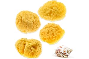 Evergreen Pet Supplies Hermit Crab Spray Bottle