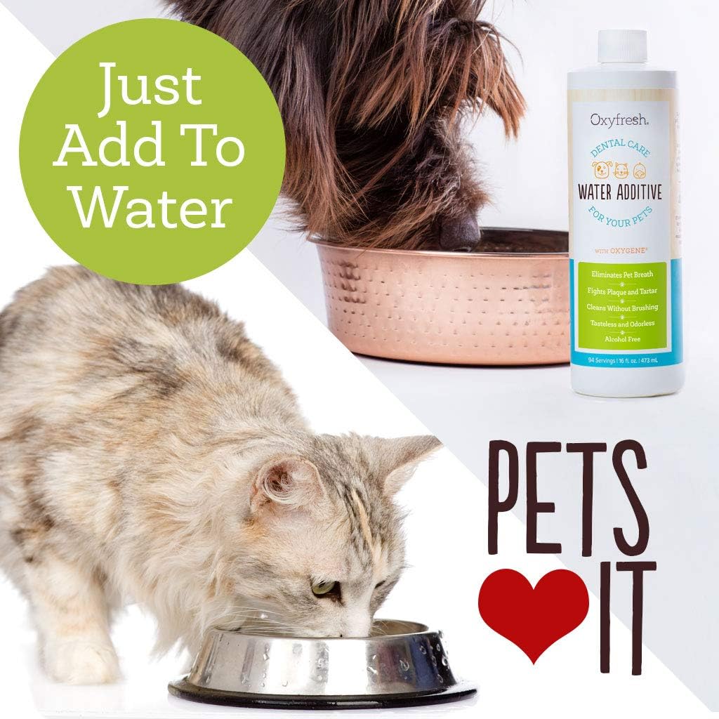 Does Oxyfresh Pet Water Additive Work? Bioscint, 60 OFF