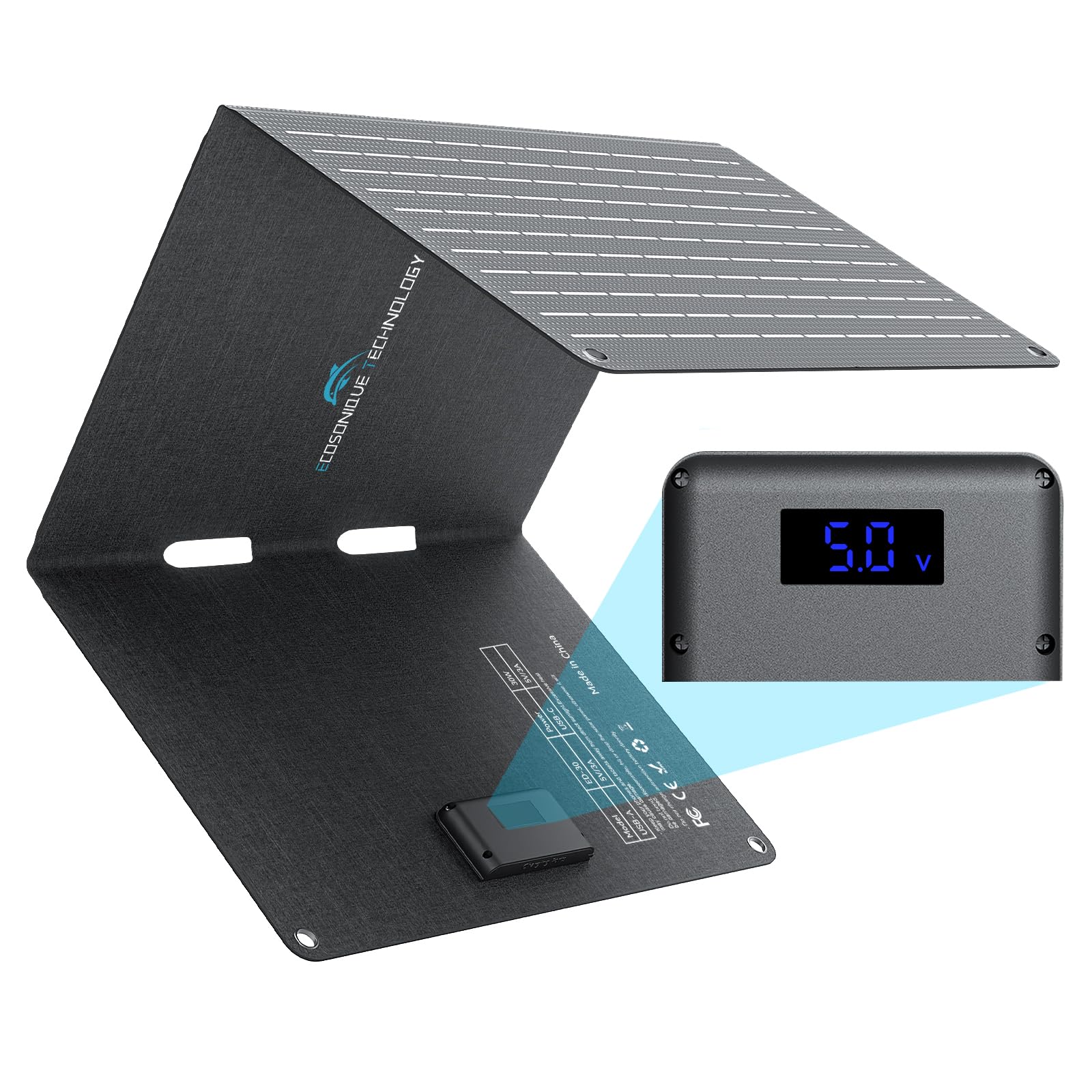 Ecosonique 30W