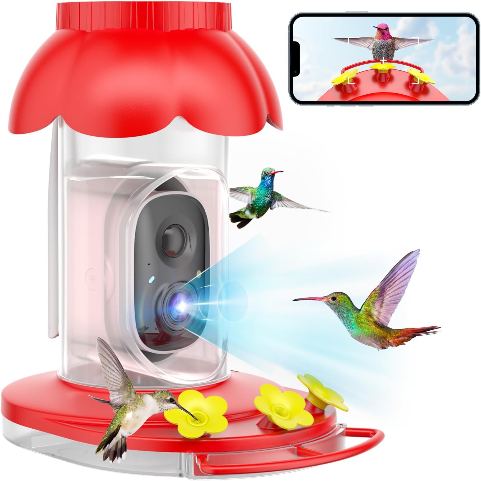 Amazon.com : AUXCO Smart Intelligent Bird Feeder Camera, Auto Capture ...