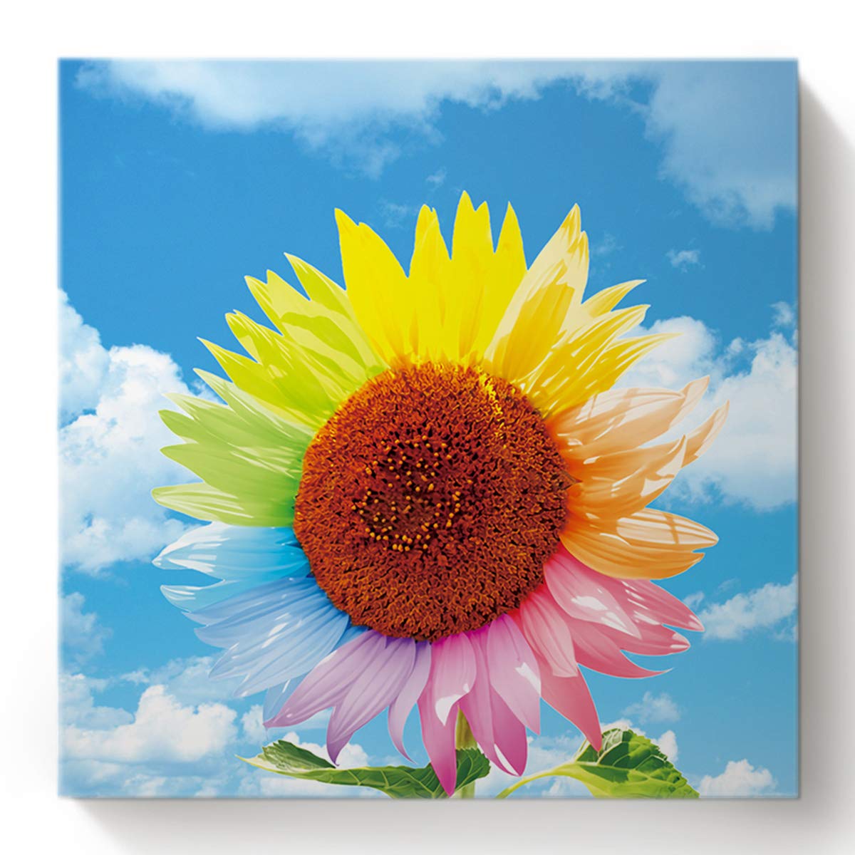 Amazon.com: TocaHome Paint by Numbers on Canvas Simple DIY Acrylic Painting  Kits 16 x 16 Inch Colorful Sunflower in The Blue Sky White Clound Wall  Drawing Paintwork Framed Decoration Pieces for Adults