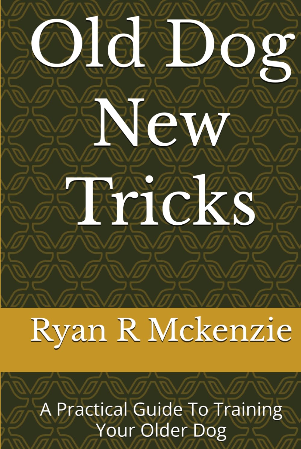 Old Dog New Tricks: A Practical Guide To Training Your Older Dog