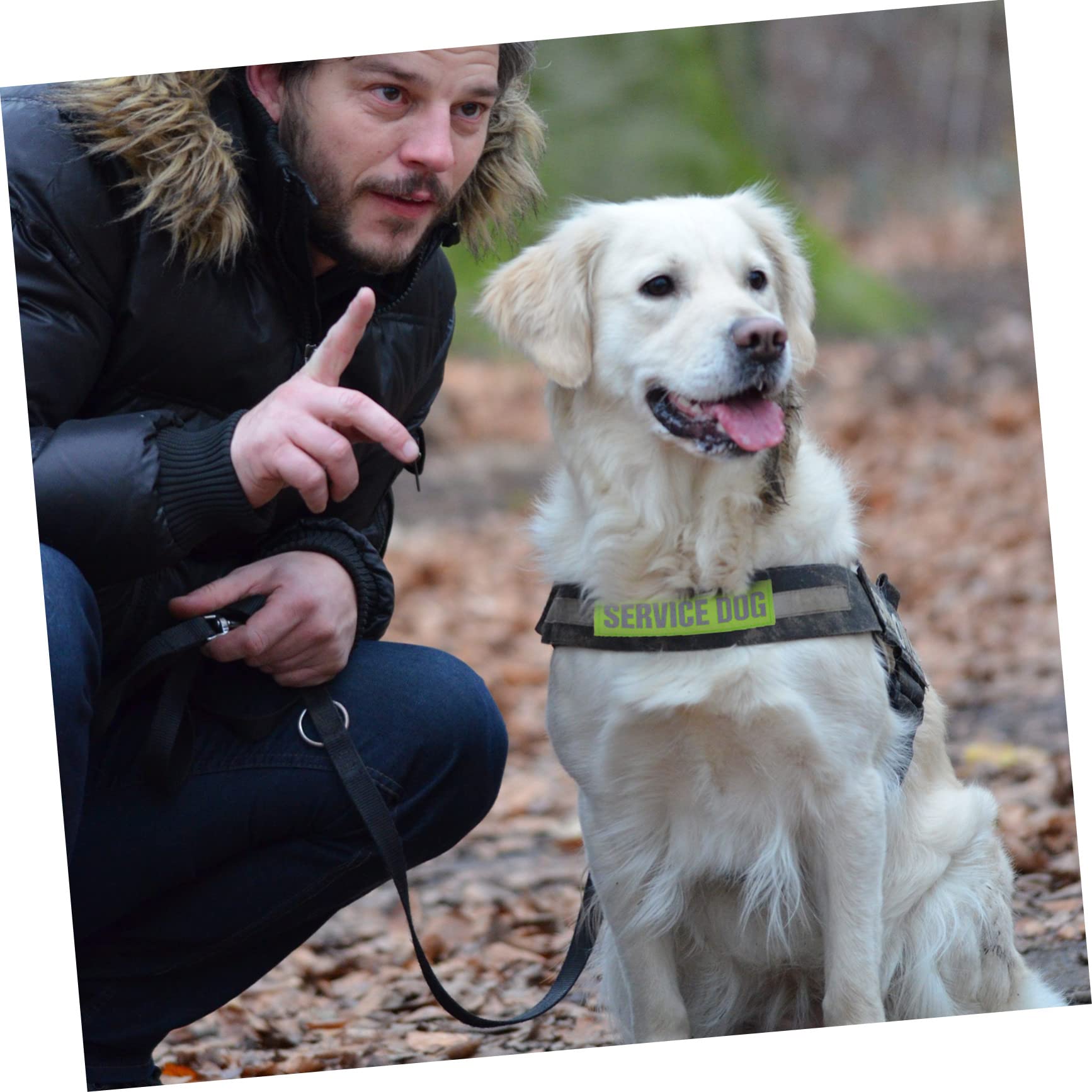 BESPORTBLE 16pezzi Pettorina Riflettente Per Cani Con Patches Adesivi Decorazioni Per Imbracature Per Cani Di Servizio Accessori Pratici e Sicuri Per Passeggiate Notturne