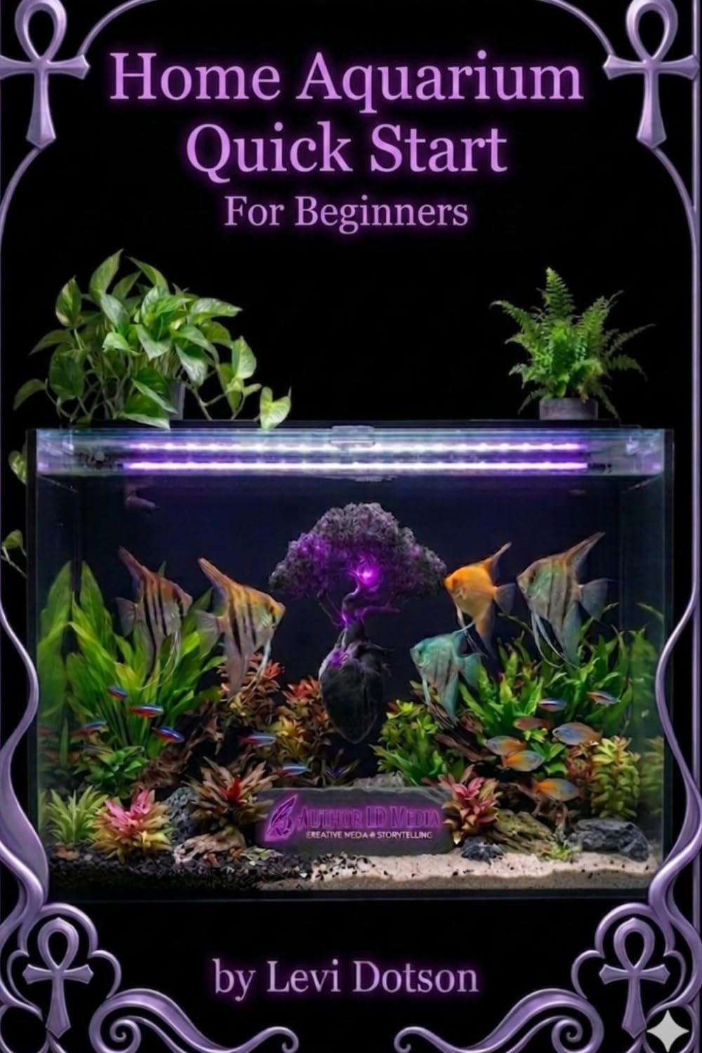 Home Aquarium Quick Start: For Beginners