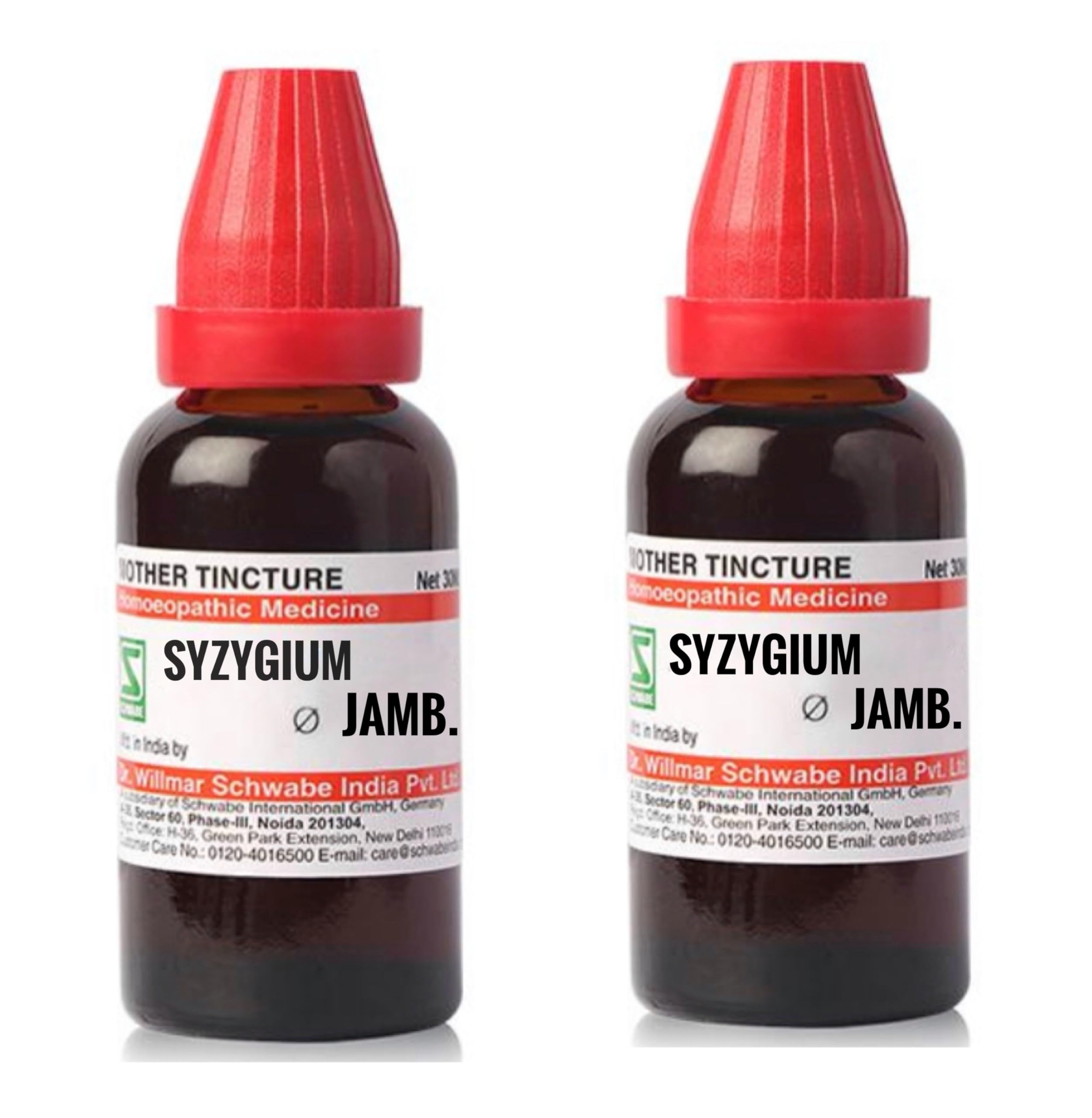Schwabe Syzygium Jambolanum Mother Tincture- 30 ml - Pack Of 3 Bottles (B0CHFFYY4R) Amazon Price History, Amazon Price Tracker