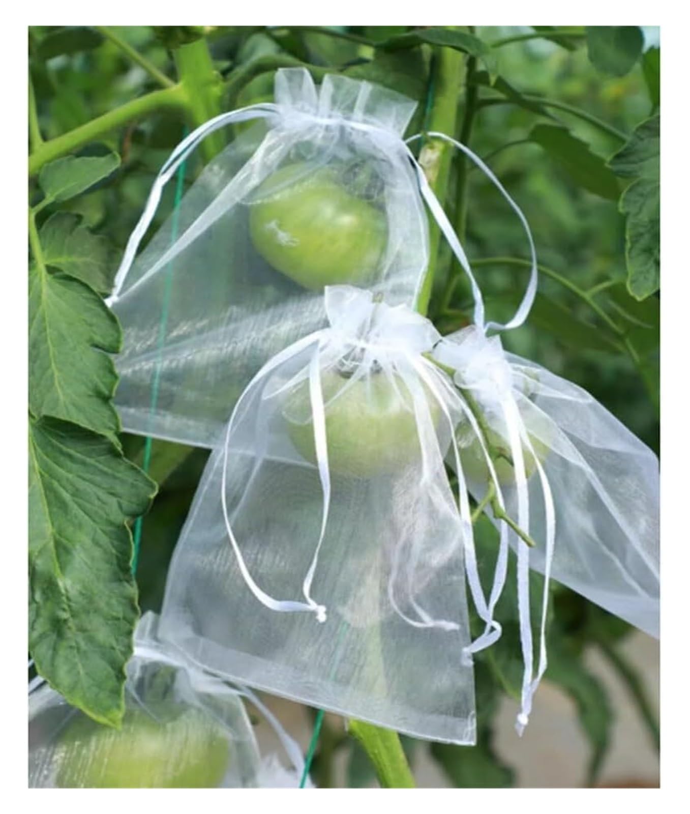 JFGCTYHXY Fruit protection bags, 50pcs Fruit Barrier Bag, Vegetable Grapes Protection Mesh Waterproof Anti-Bird
