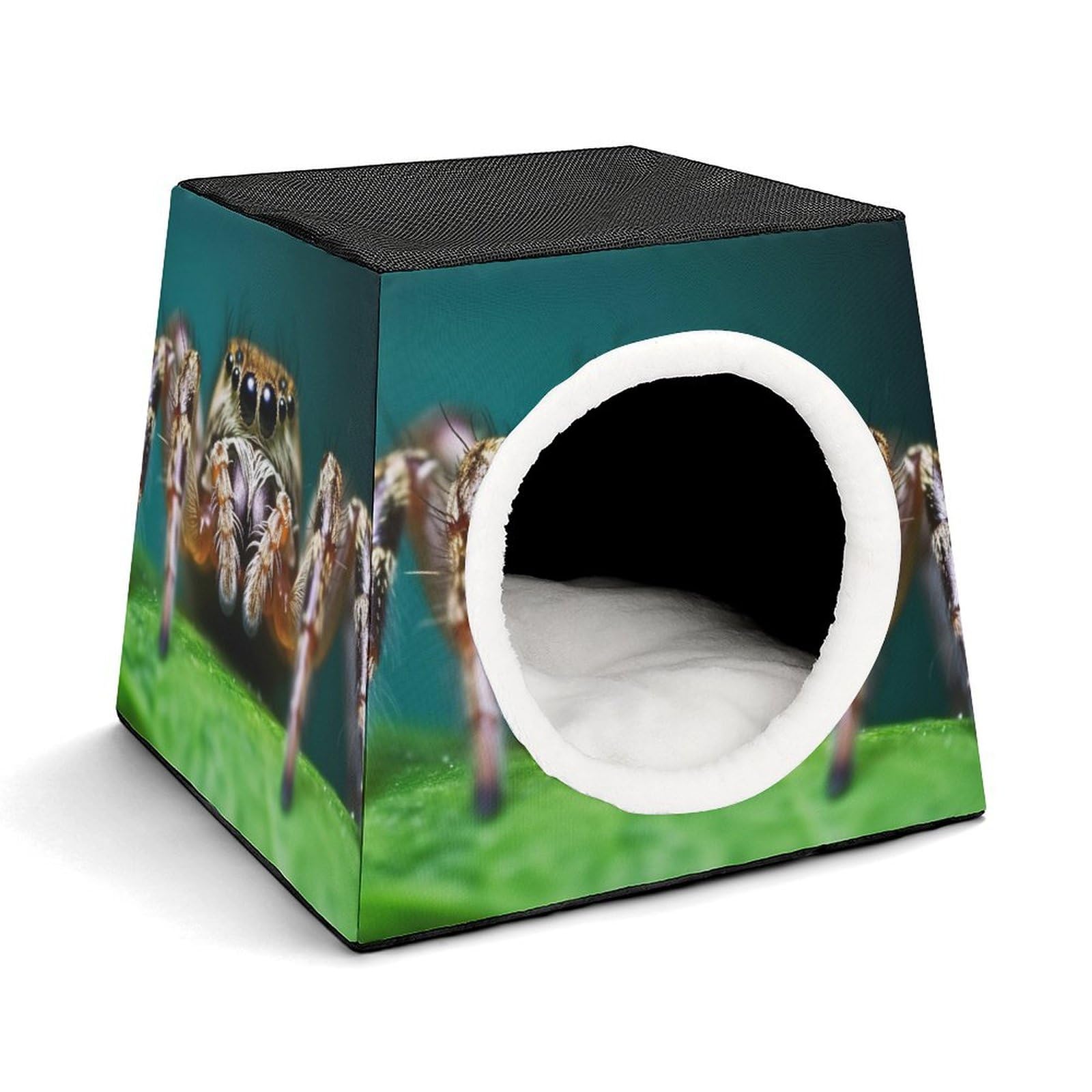 Maison pour animaux domestiques Wildlife Spider pour chat d'intérieur