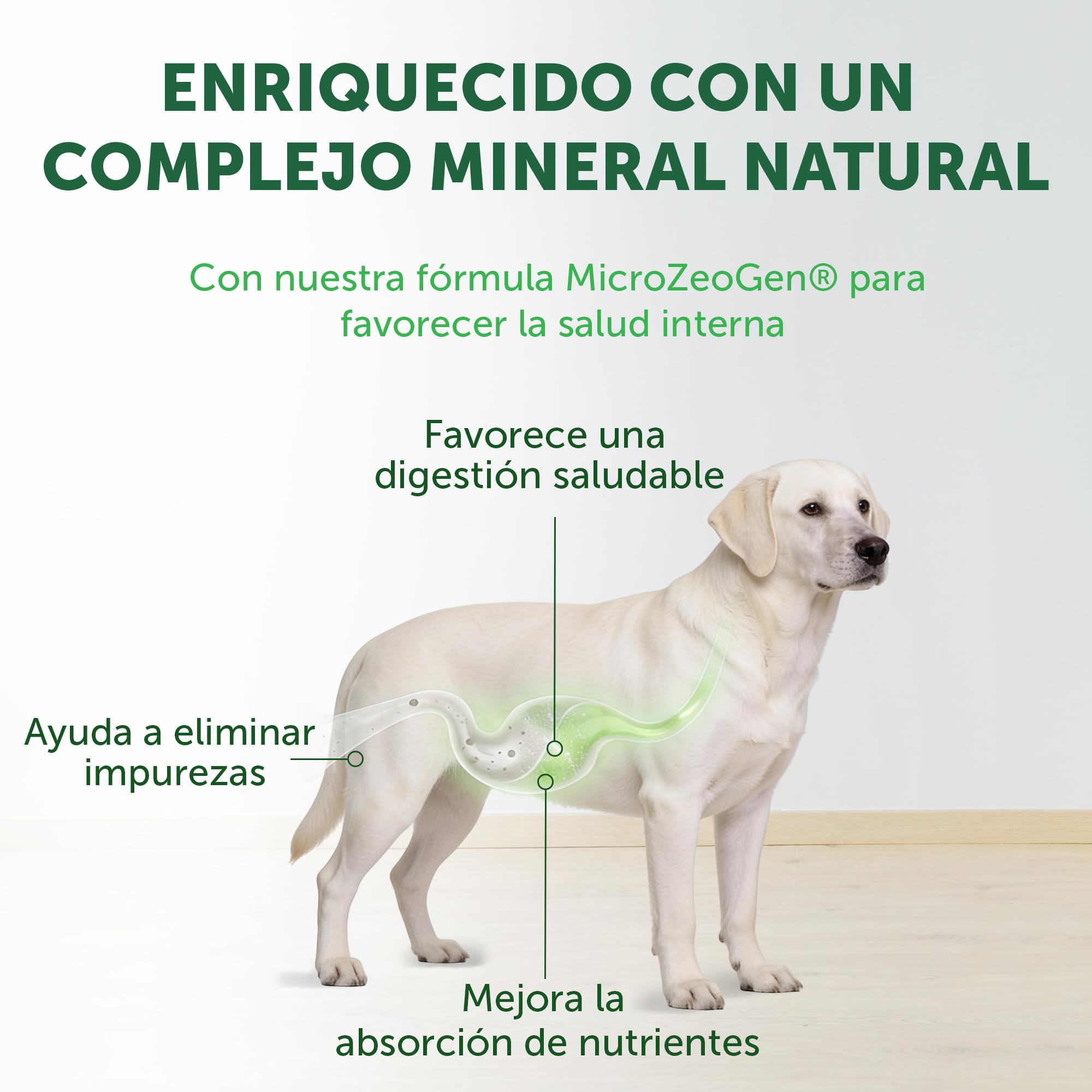 Nature's Protection Superior Care Pienso Todas Las Edades, Pez Blanco 4 kg | Con arroz, Antimanchas lagrimales, pelaje blanco brillante, Croquetas grandes, Pelajes blancos/claros, Cachorros y adultos