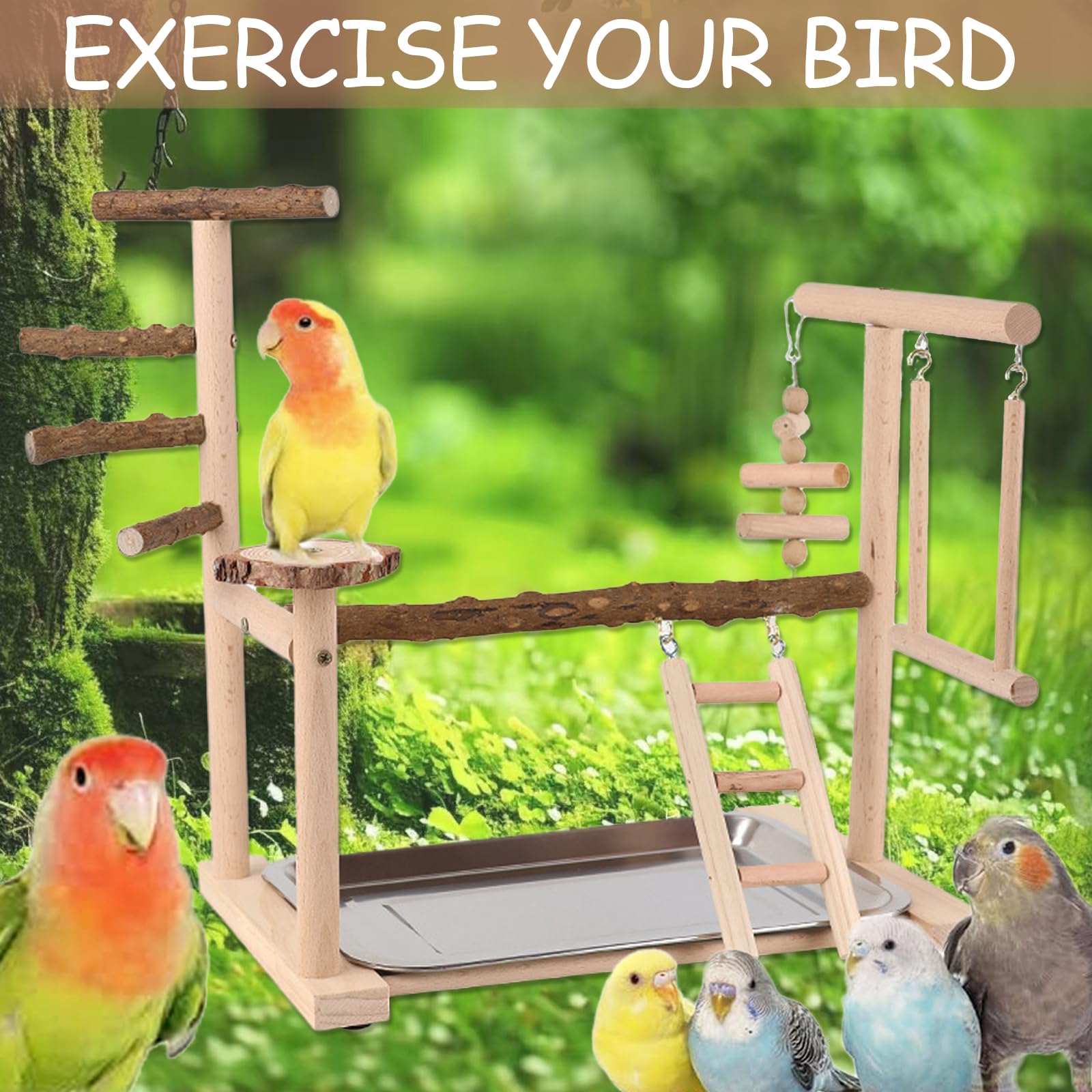 Support de Perroquet - Aire de Jeux pour Oiseaux en Bois avec Échelle, Balançoire, Mangeoire, Plateau et Jouets de Gymnastique Perchoir pour Oiseaux de Petite à Moyenne Taille