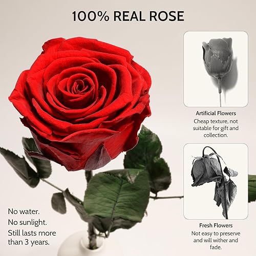Miniatura 3 de Yamonic Regalos de cumpleaños para mujeres, flores reales preservadas con collar de corazón, regalos para mamá, abuela, ella, hija, esposa, novia,
