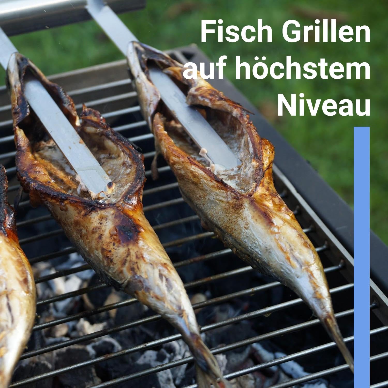 Steckerlfisch Halter 4 Edelstahlspieße für Gas- & Kohlegrill