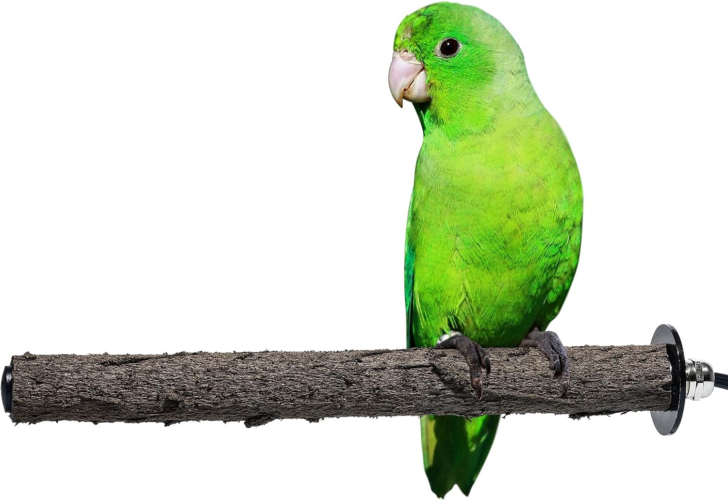 briidea Heated Bird Perch, Bird Cage Heater for Parakeets Cockatiels Lovebirds Amazon Parrots, Strong Grip, 110VAC