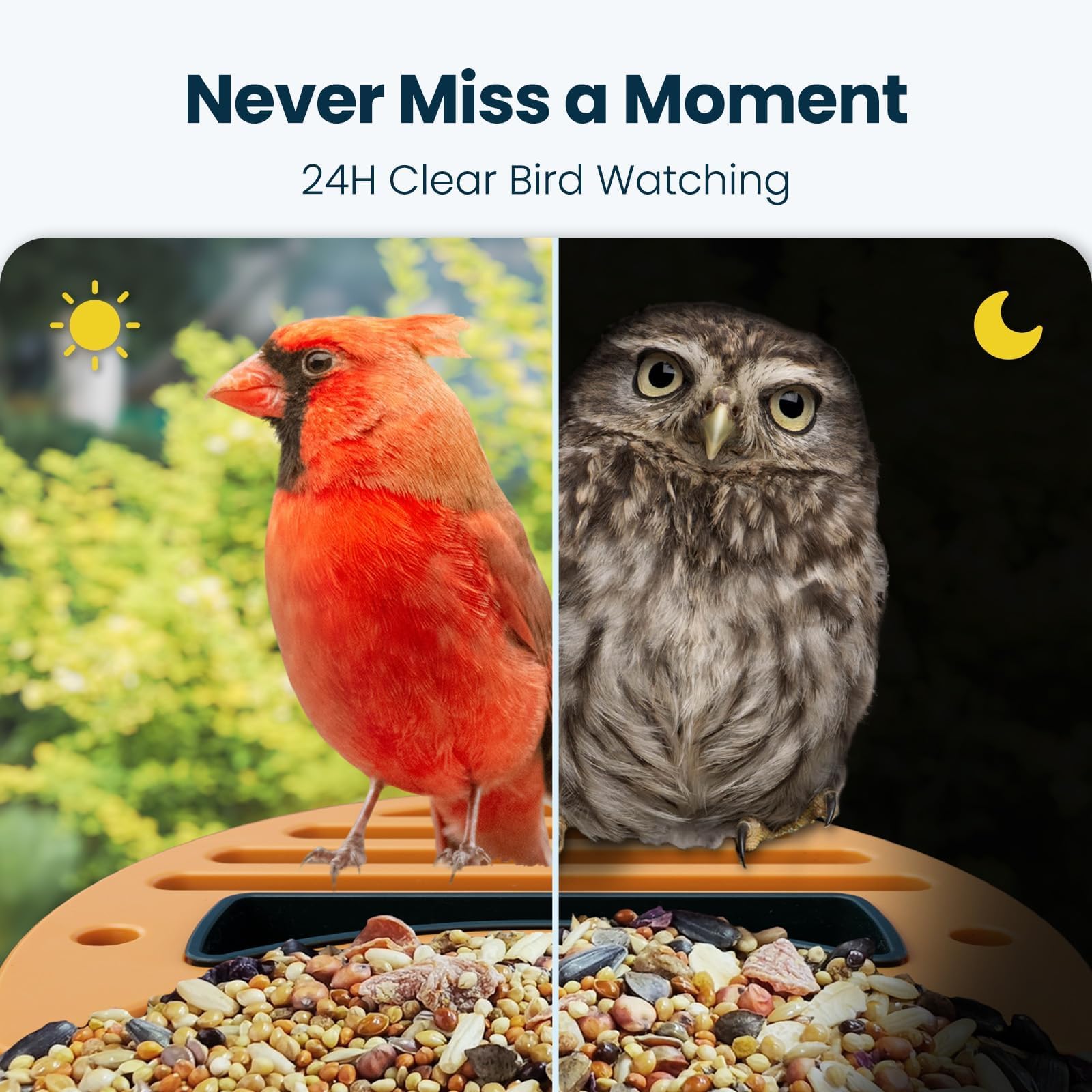 Smart Bird Feeder with Camera - Solar Powered -7
