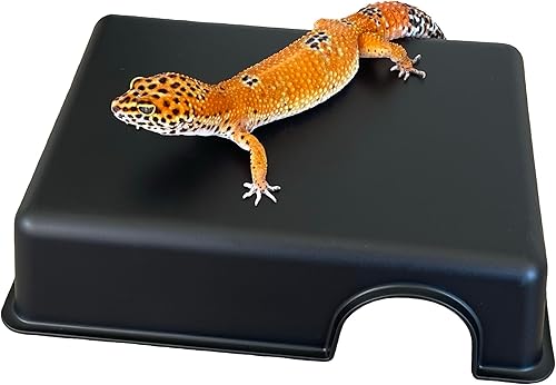 Caja de piel de reptiles, escondite de animales pequeños, cueva de plástico para geckos de leopardo, serpientes pequeñas, pitones de bola juvenil,