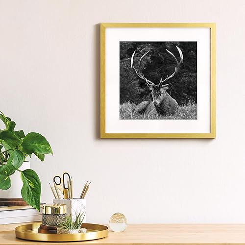 Vista 142 de Yaetm Portarretratos de 12 x 12 pulgadas con paspartú para fotos de 8 x 8 pulgadas, juego de 9 marcos cuadrados de 12 x 12 pulgadas, marco blanco