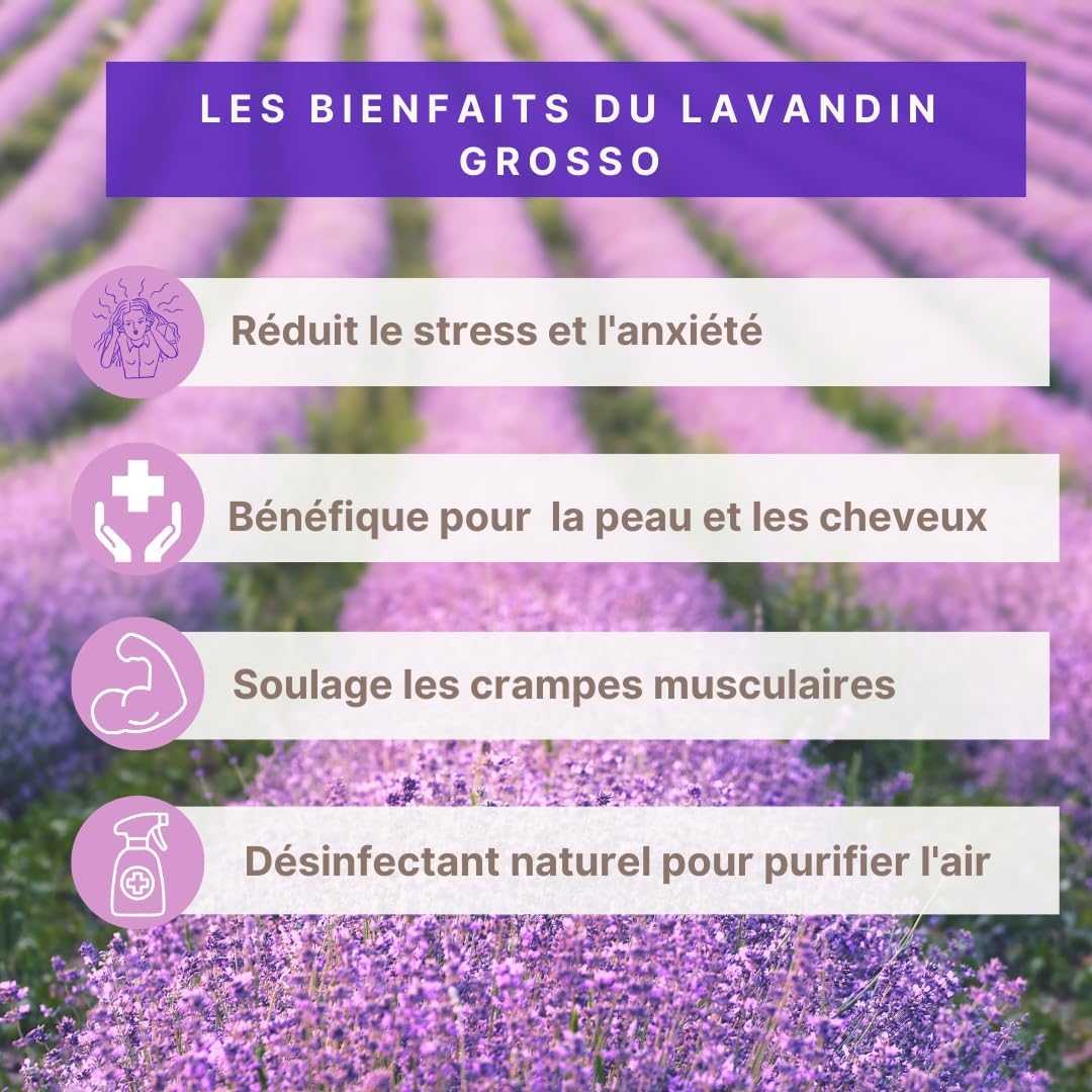 Huile Essentielle Lavandin Grosso BIO 1 liter – 100% pure & naturelle – Direct Producteur Drôme Provençale - Diffuseur, Aromathérapie, Relaxation, Sommeil, Bien-être –