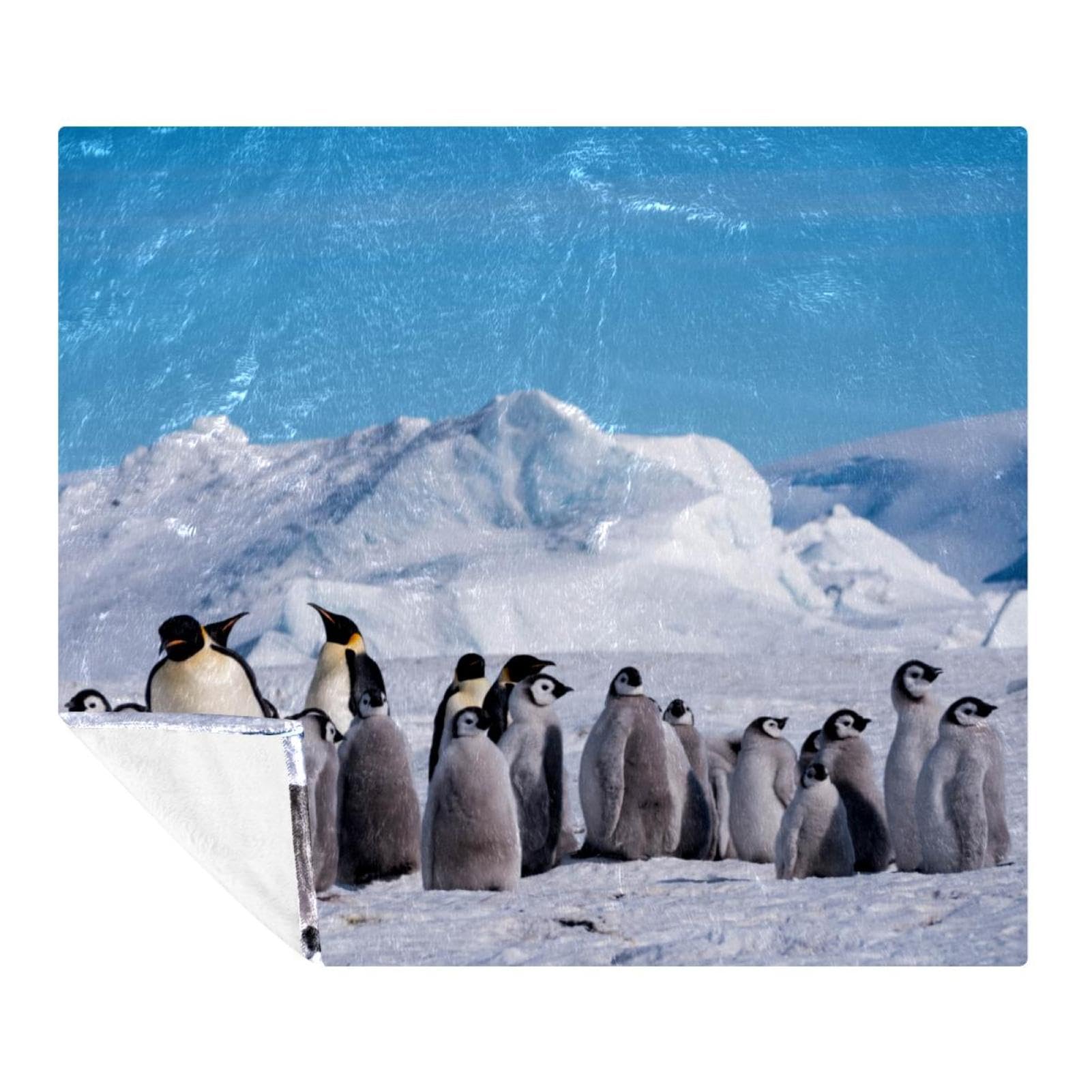 Couverture pingouins douillette pour des moments cocooning en famille