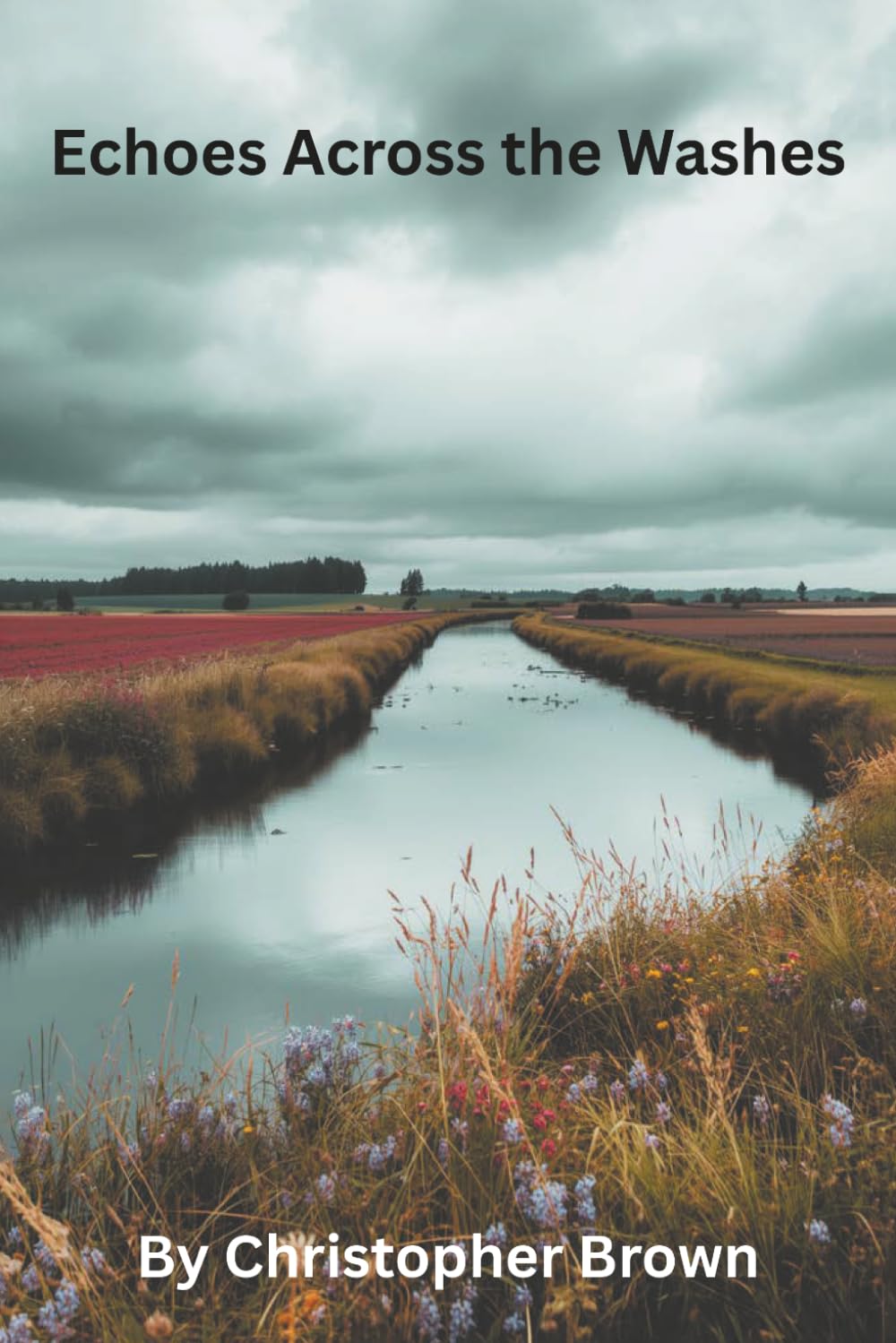 Echoes Across the Washes