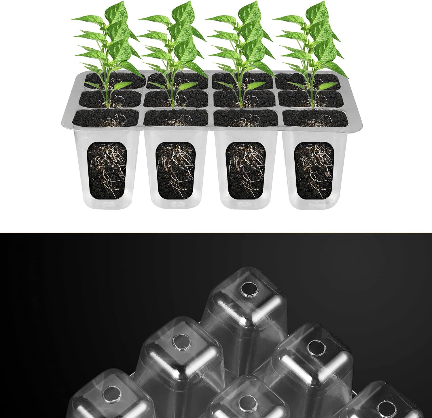 Sunbroaden 6 Packs Seed Starter Tray, 72 Cell Seed Starter Kit with Humidity Dome, Durable Seed Starting Trays, Plant Starter Trays Indoor for Seedlings (12 Cells per Tray)