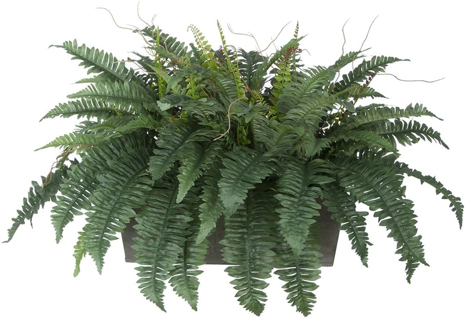 House of Silk Flowers Artificial Fern in Grey-Washed Wood Ledge