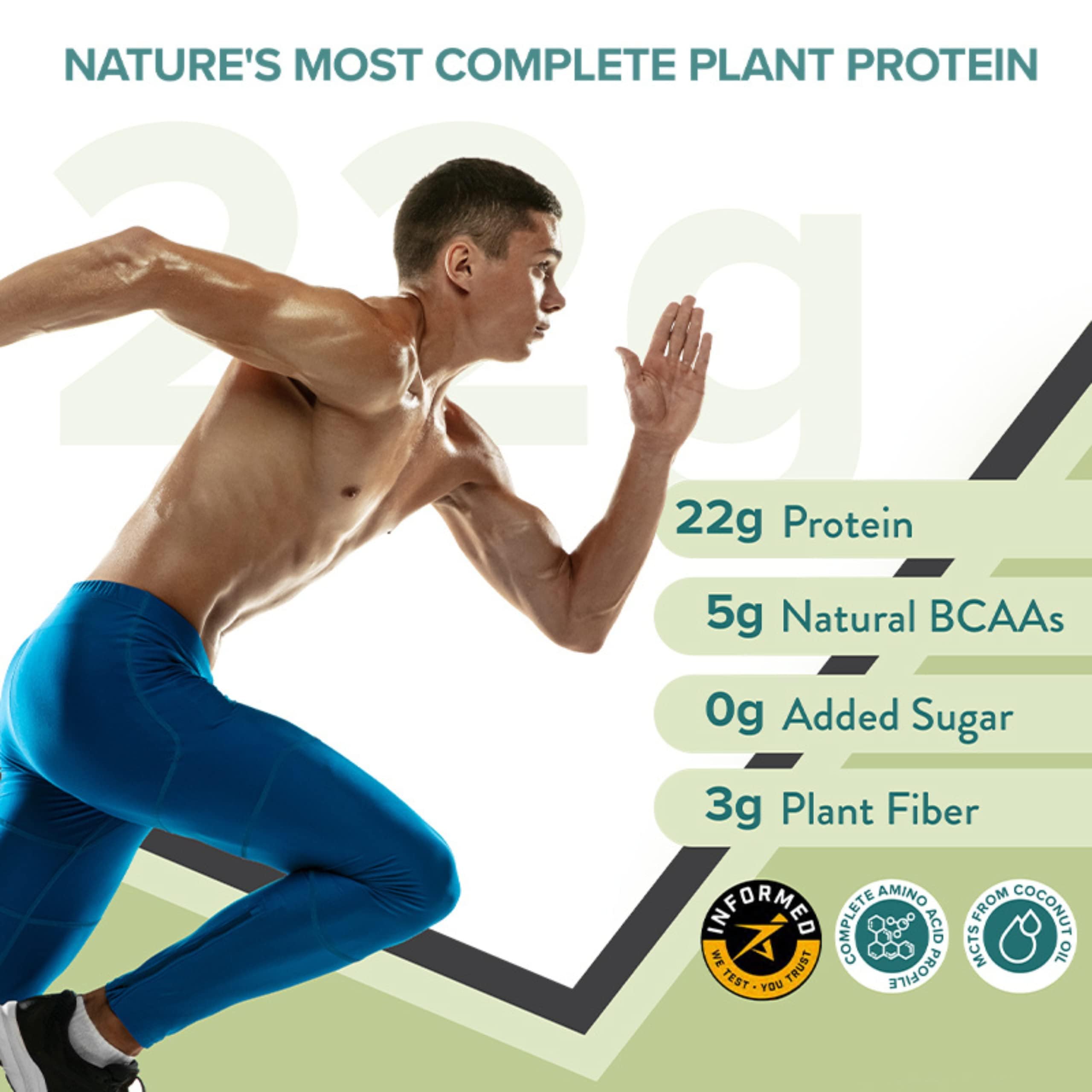 Wellbeing Nutrition Organic Vegan Plant Protein Isolate Powder | 22g Protein, 5g BCAA European Pea & Brown Rice Protein | Superfoods, Fiber for Muscle Growth & Recovery | British Banoffee Pie -500gm — Amazon image 2