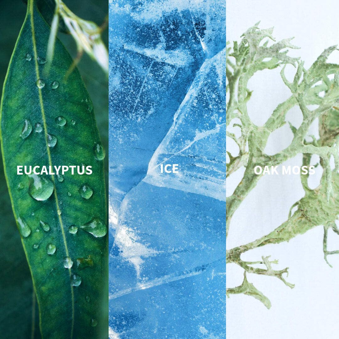 Eau de Parfum Naturelle ICE BORÉAL - FiiLiT Parfum du Voyage - Mixte - Rechargeable - Frais (50 mL)