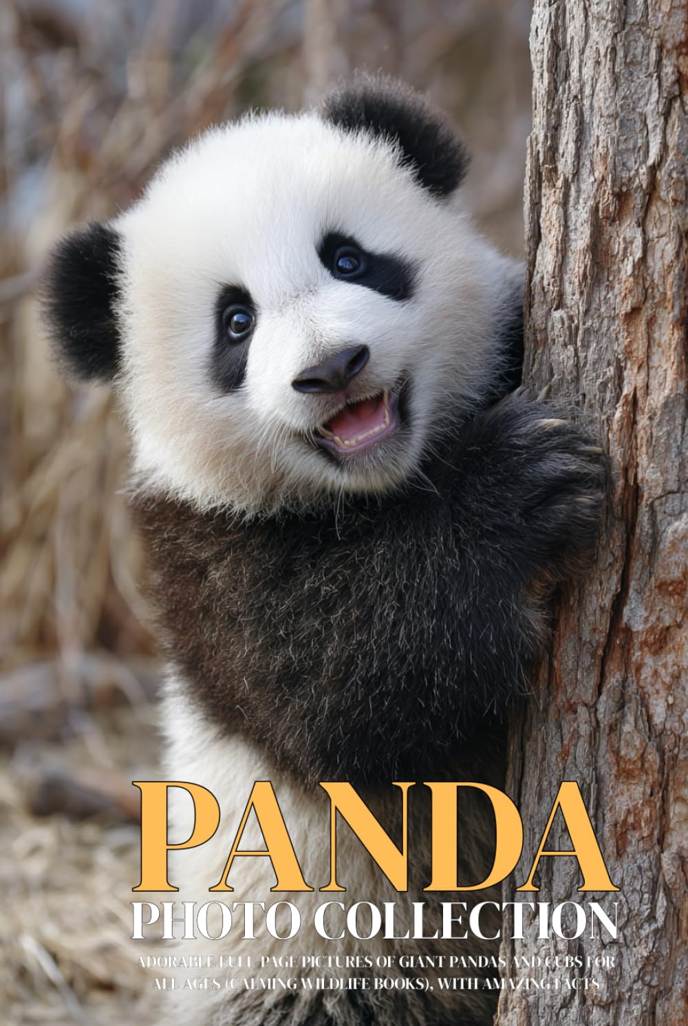 Panda Photo Collection: Adorable Full-Page Pictures of Giant Pandas and Cubs for All Ages (Calming Wildlife Books), with Amazing Facts