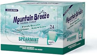 Oral Hygiene Mouth Freshener Sugar Free Spear Mint Flavoured Breath Strips (24 Strips Each Cassatte)-Pack of 24