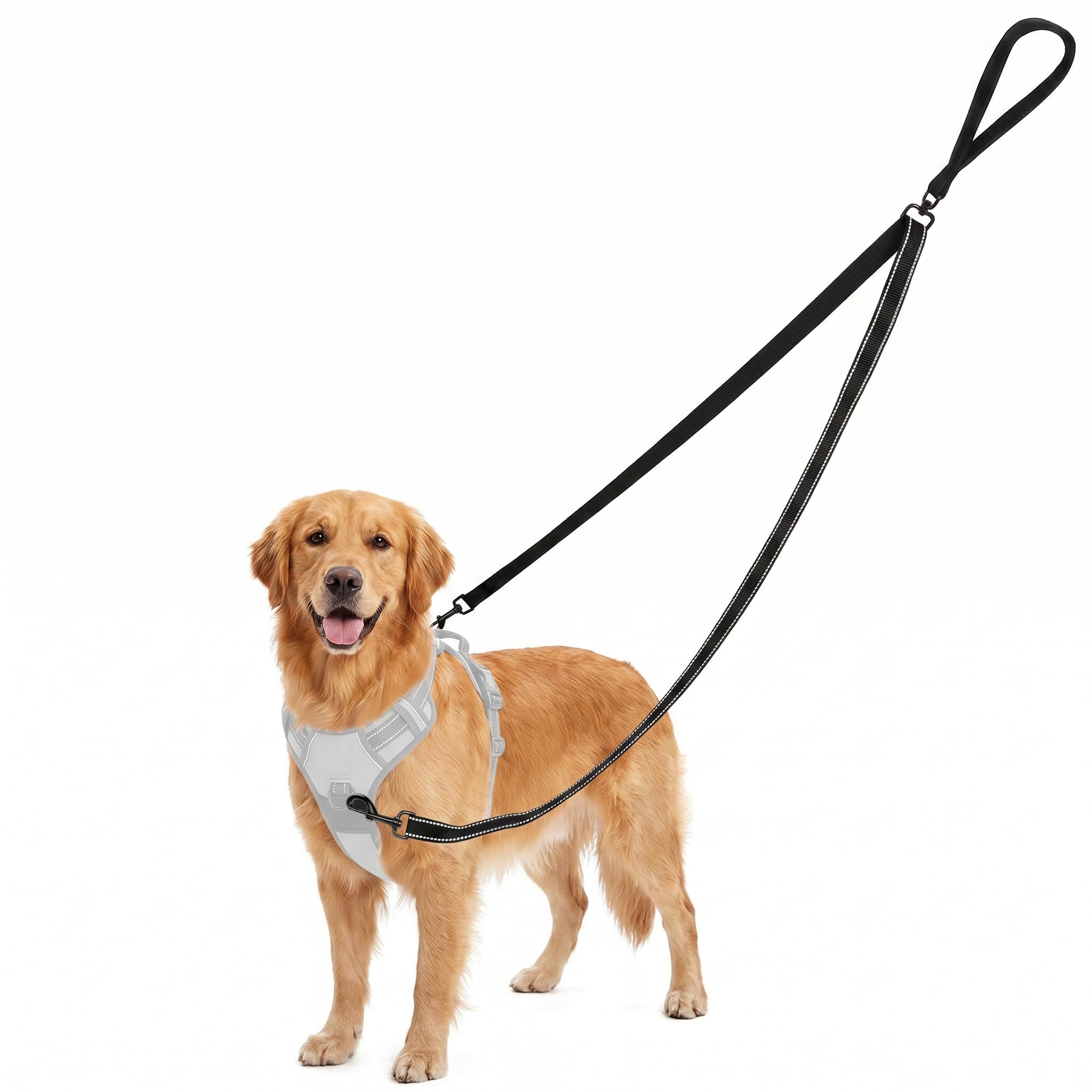 QWORK® Two Point Control Dog Leash, 4 Ft Anti Pull Dog Lead, for Medium Large Dogs (Black)