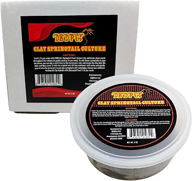 Live Springtail Cultures - Great for Terrariums, Vivariums, and More - Microfauna for Bioactive Reptile & Amphibian Cages Clay Culture New Option